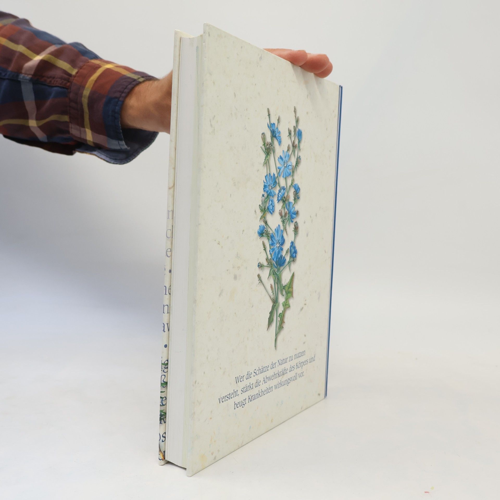 Ulrike Novotny Reader's Digest Heilpflanzen-Buch