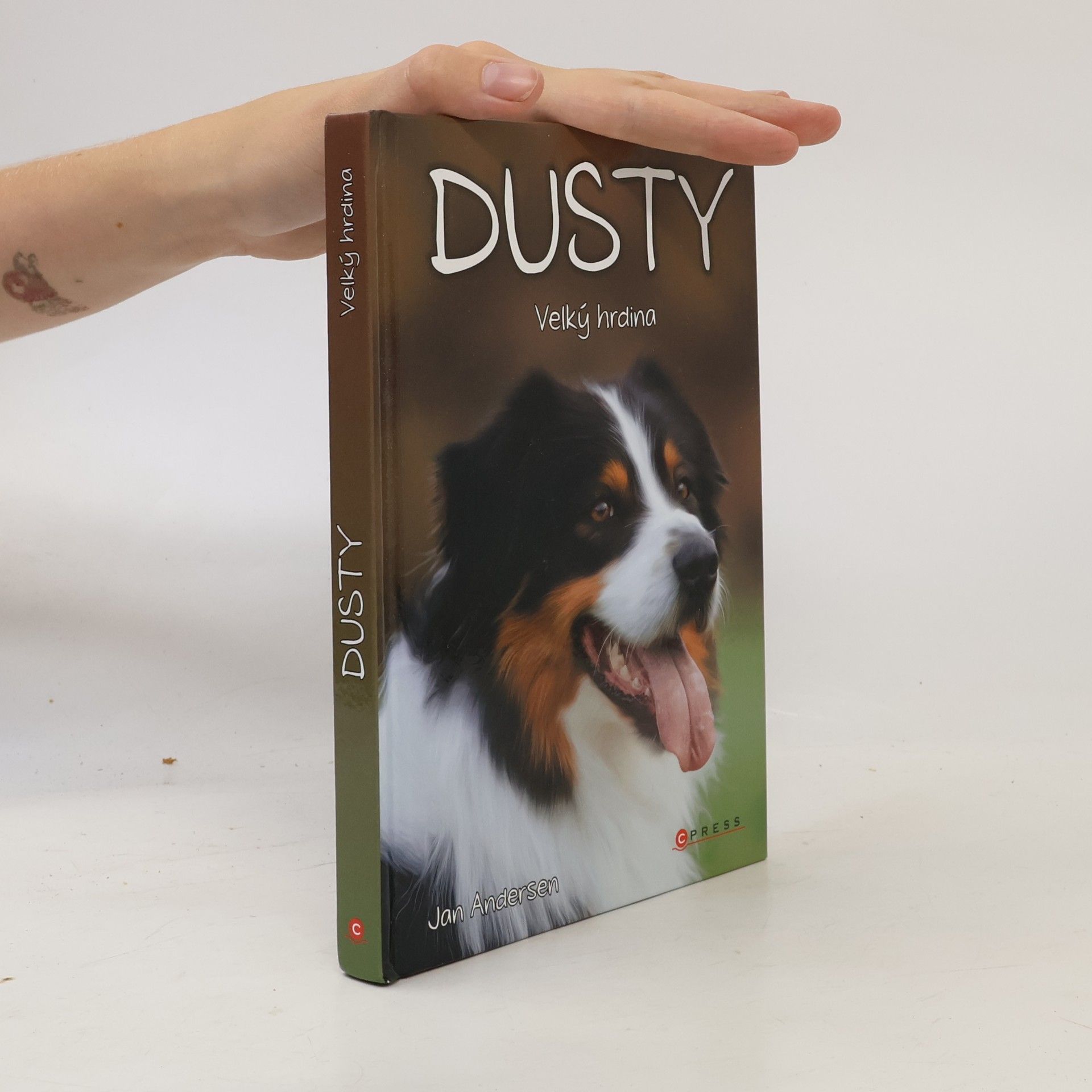 Wolfram Hänel Dusty: Velký hrdina