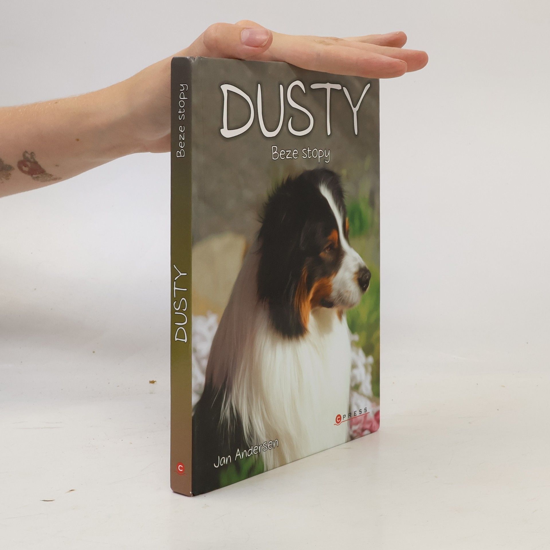 Wolfram Hänel Dusty. Beze stopy