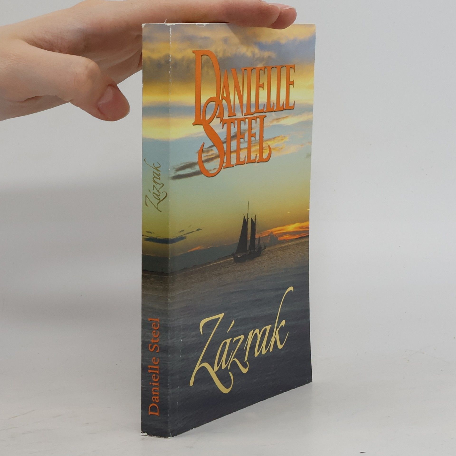 Danielle Steel Zázrak