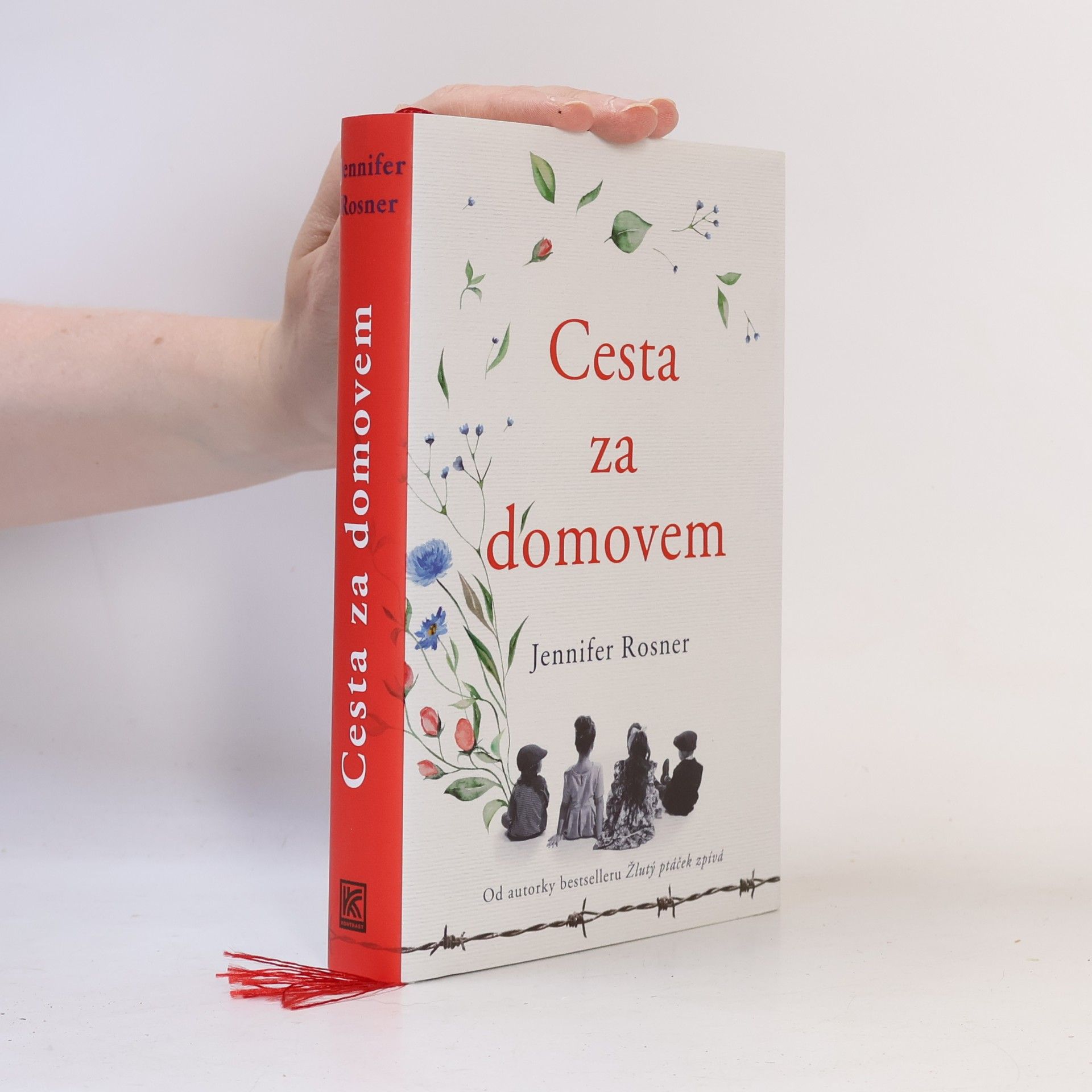 Cesta za domovem