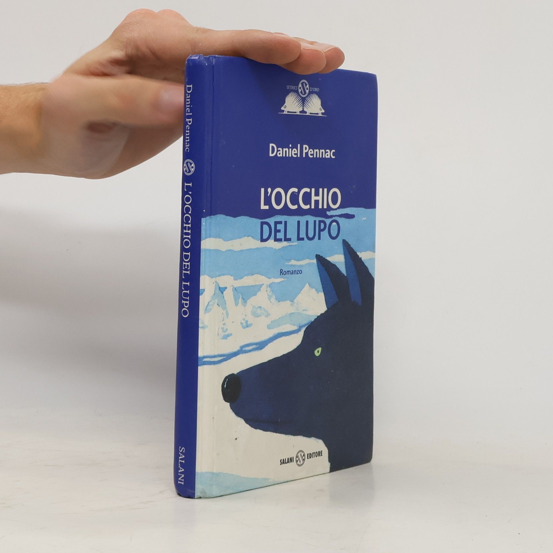 Daniel Pennac L'occhio del lupo