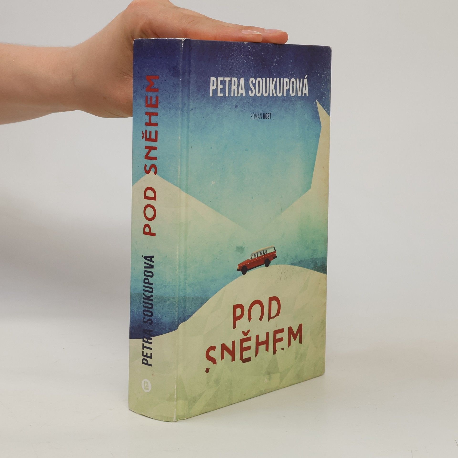 Petra Soukupova Pod sněhem