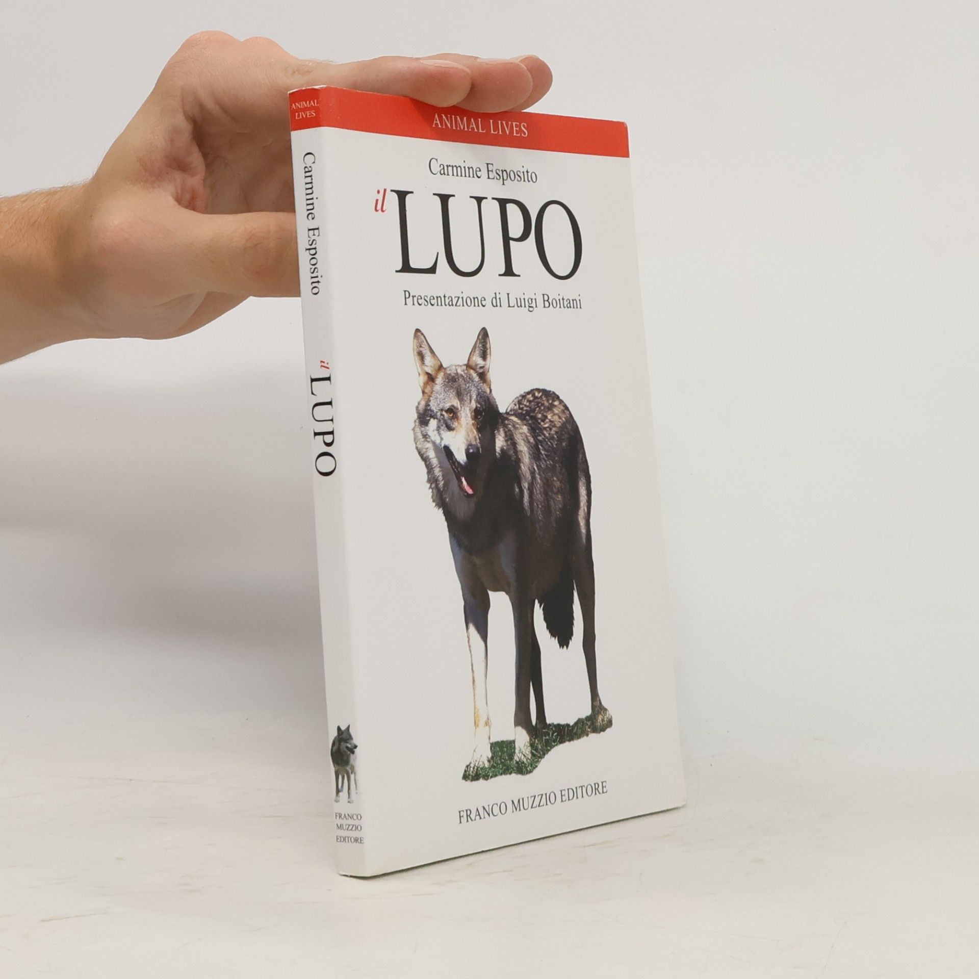 Carmine Esposito Animal Lives: Il lupo