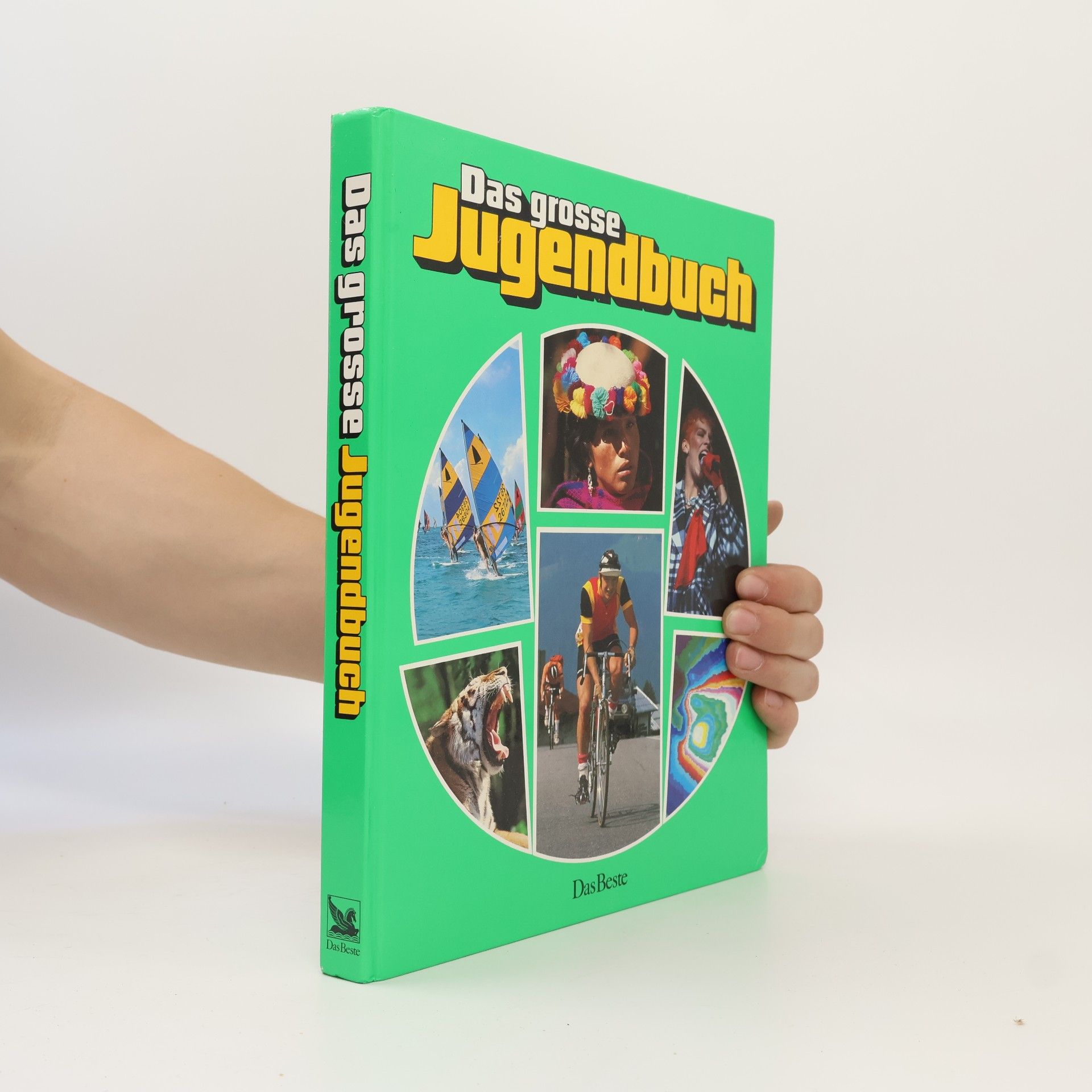 Autorenkollektiv Das große Jugendbuch