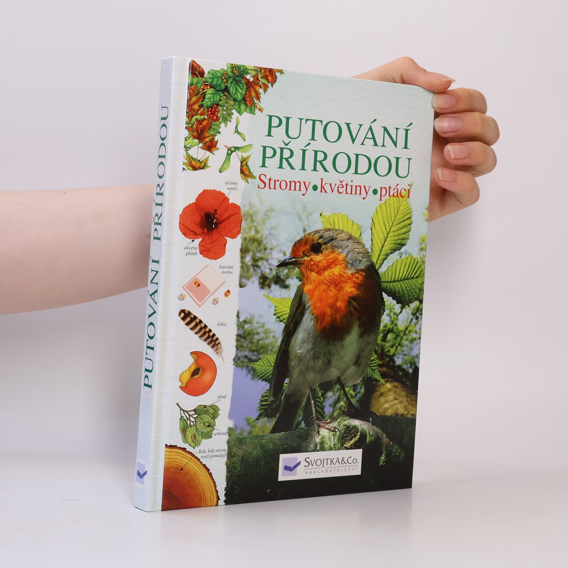 Autorenkollektiv Putování přírodou: Stromy, květiny, ptáci