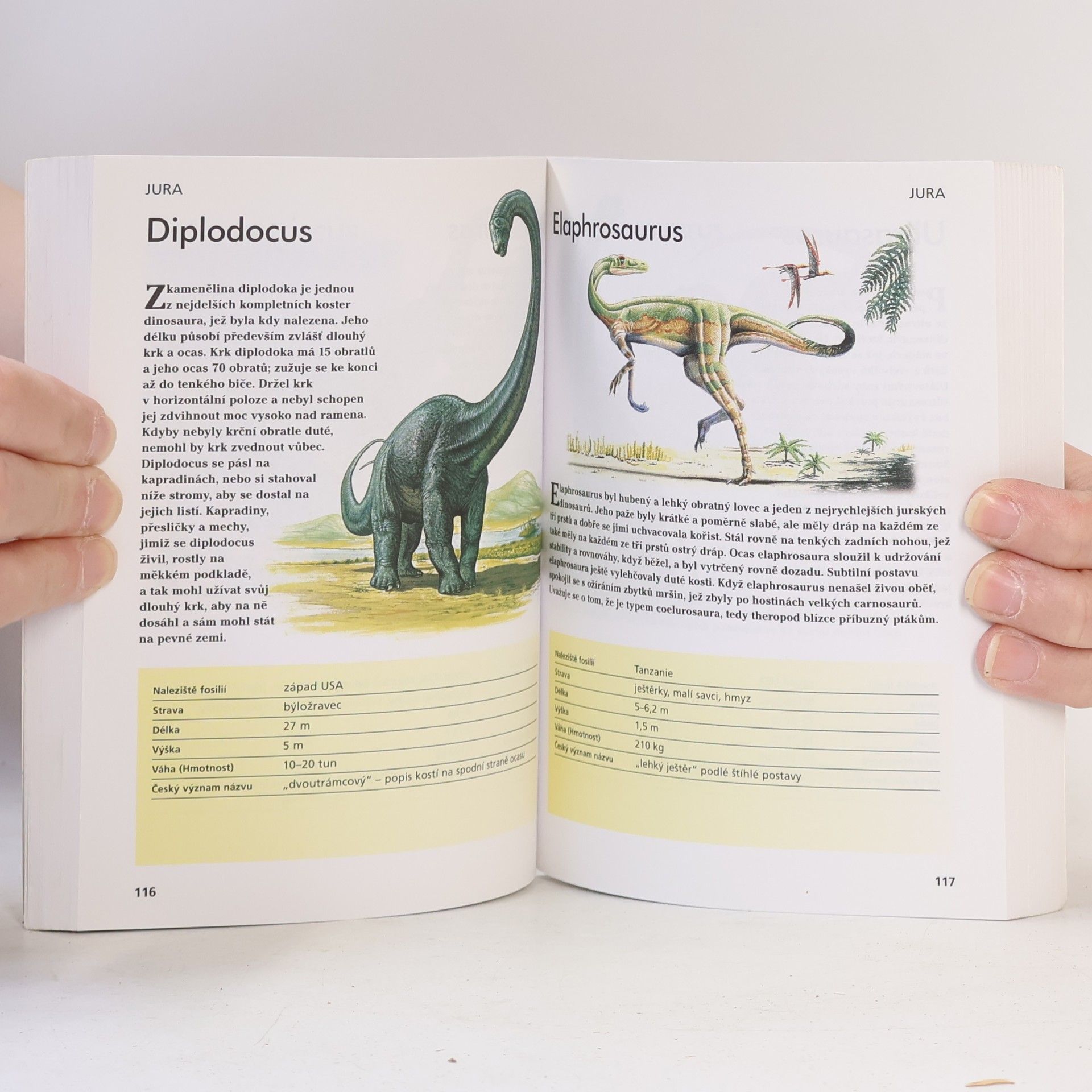 Gerrie McCall Dinosauři. Od Alosaura k Tyranosaurovi