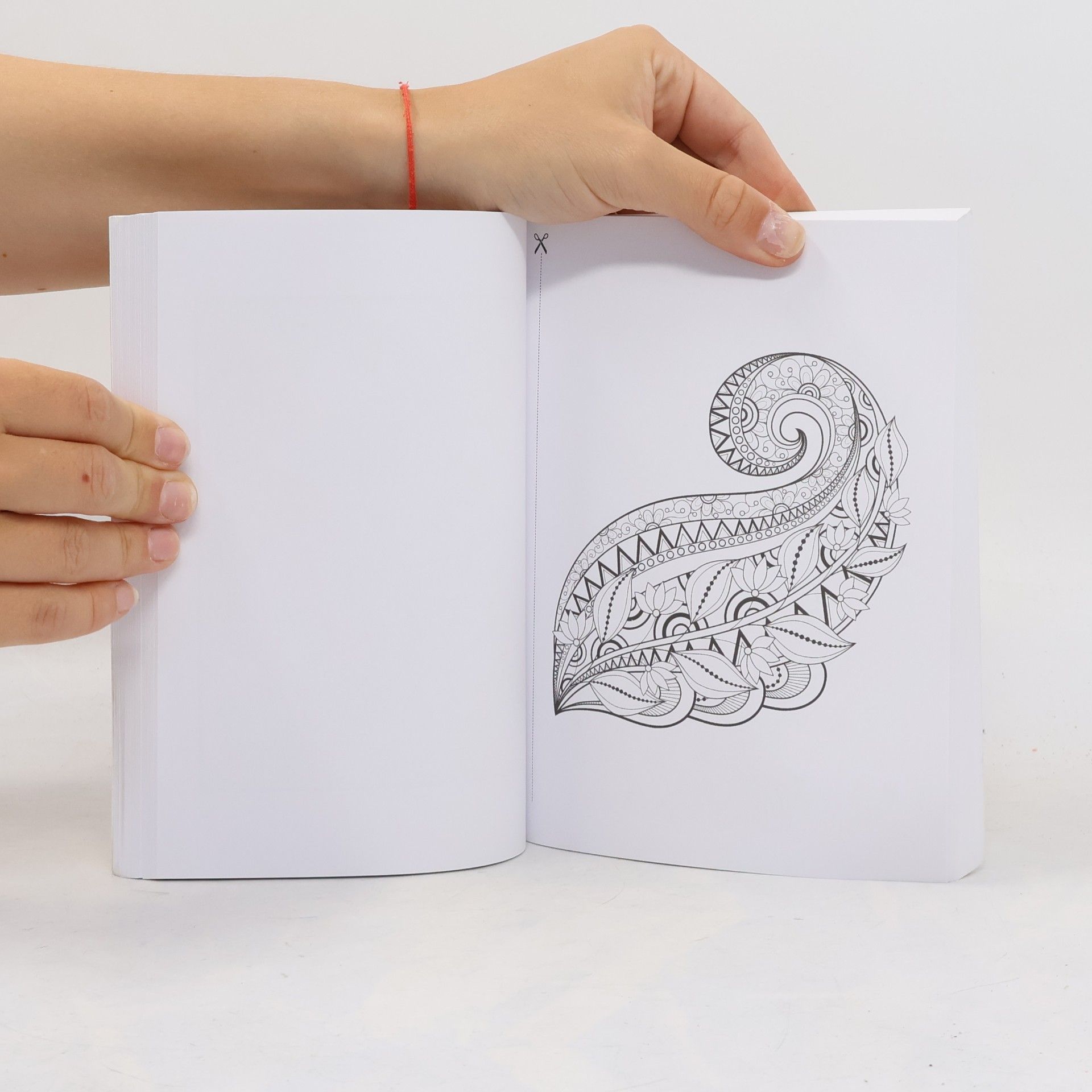Collectif d'auteurs Zápisník - Omalovánky pro kreativitu