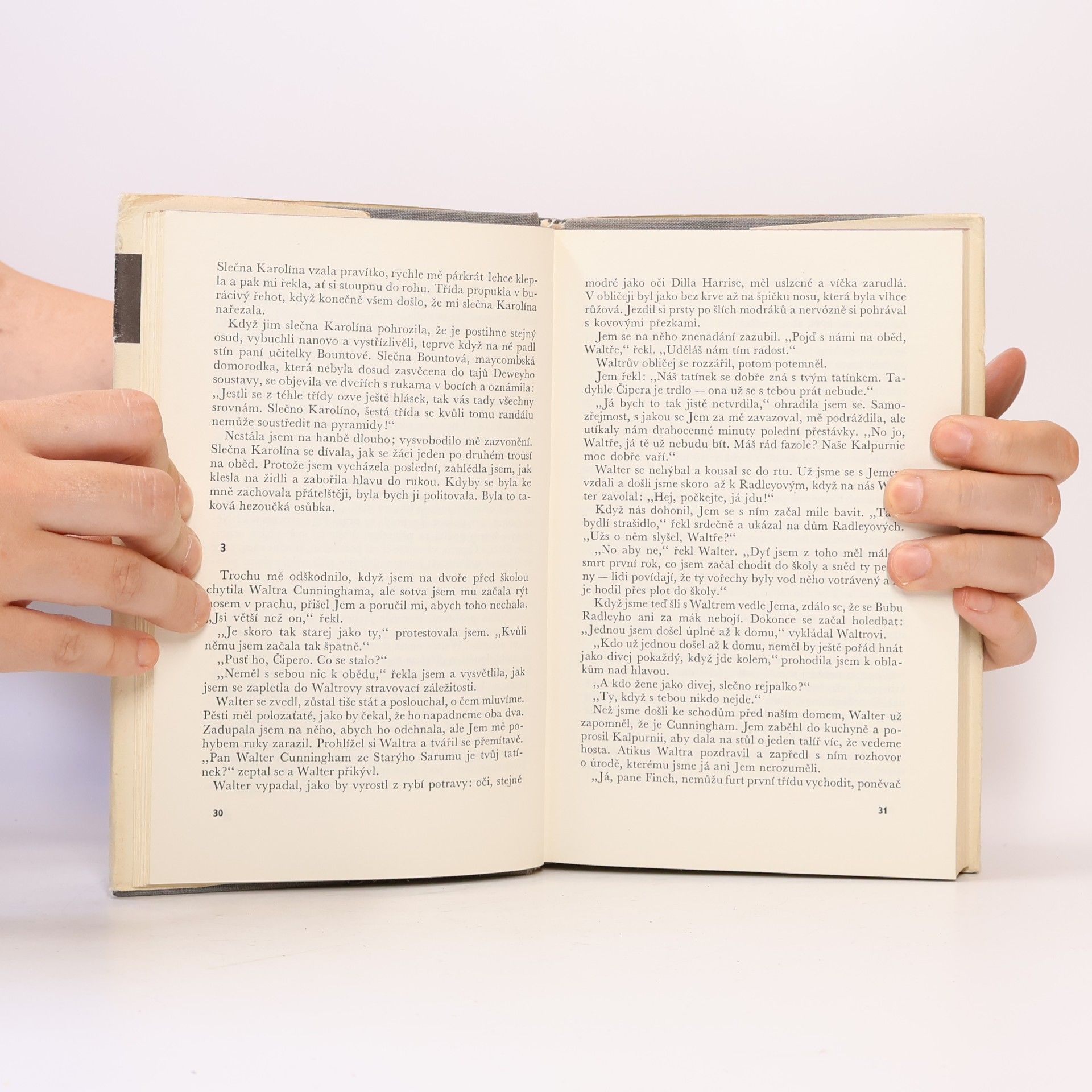 Harper Lee Jako zabít ptáčka