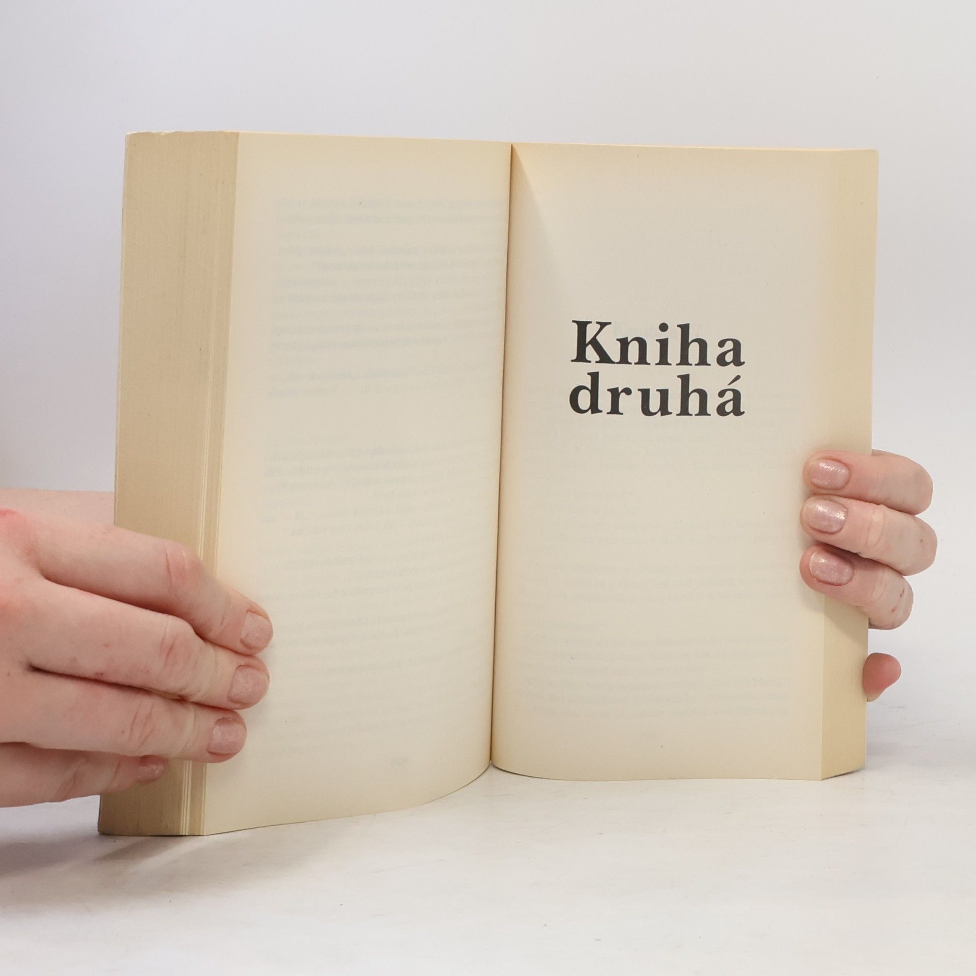Sidney Sheldon Hněv andělů