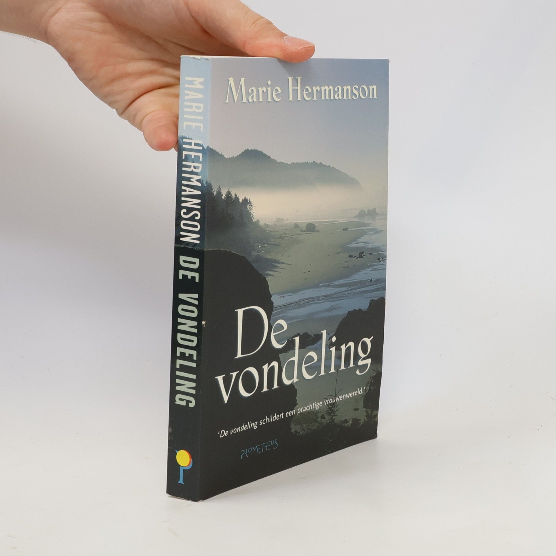 Marie Hermanson De vondeling