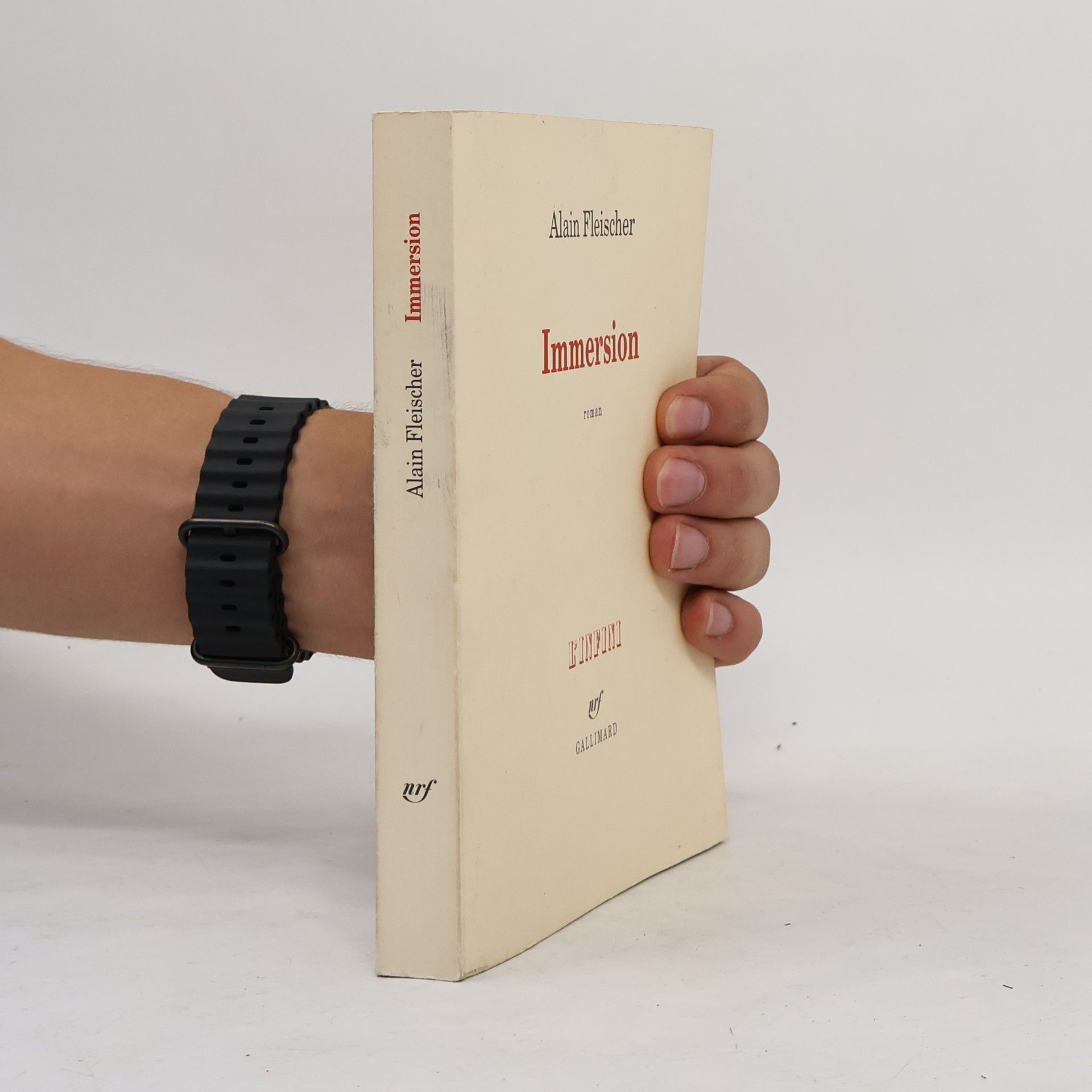 Alain Fleischer Immersion