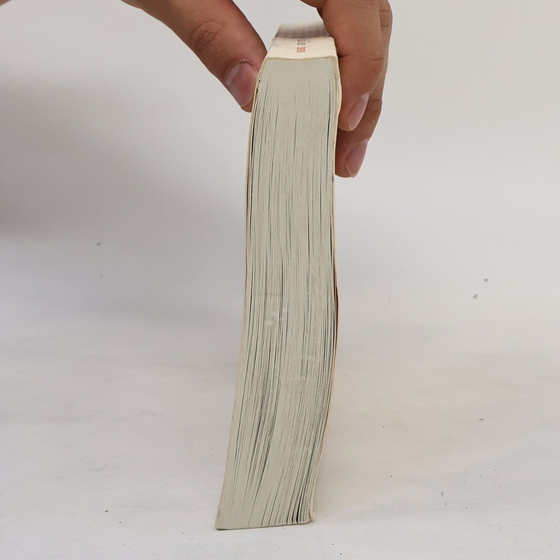 Alain Fleischer Immersion