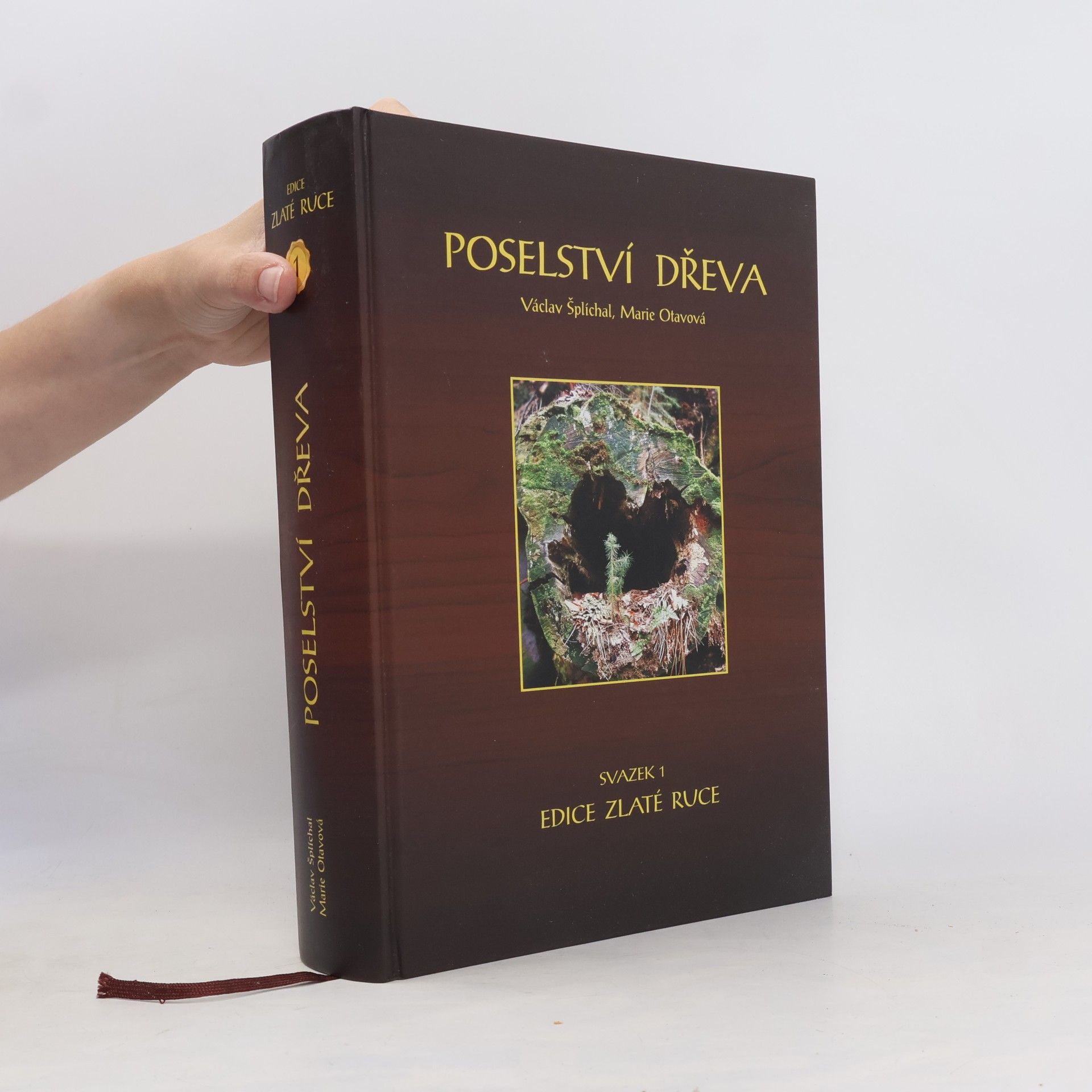 Marie Otavová Poselství dřeva
