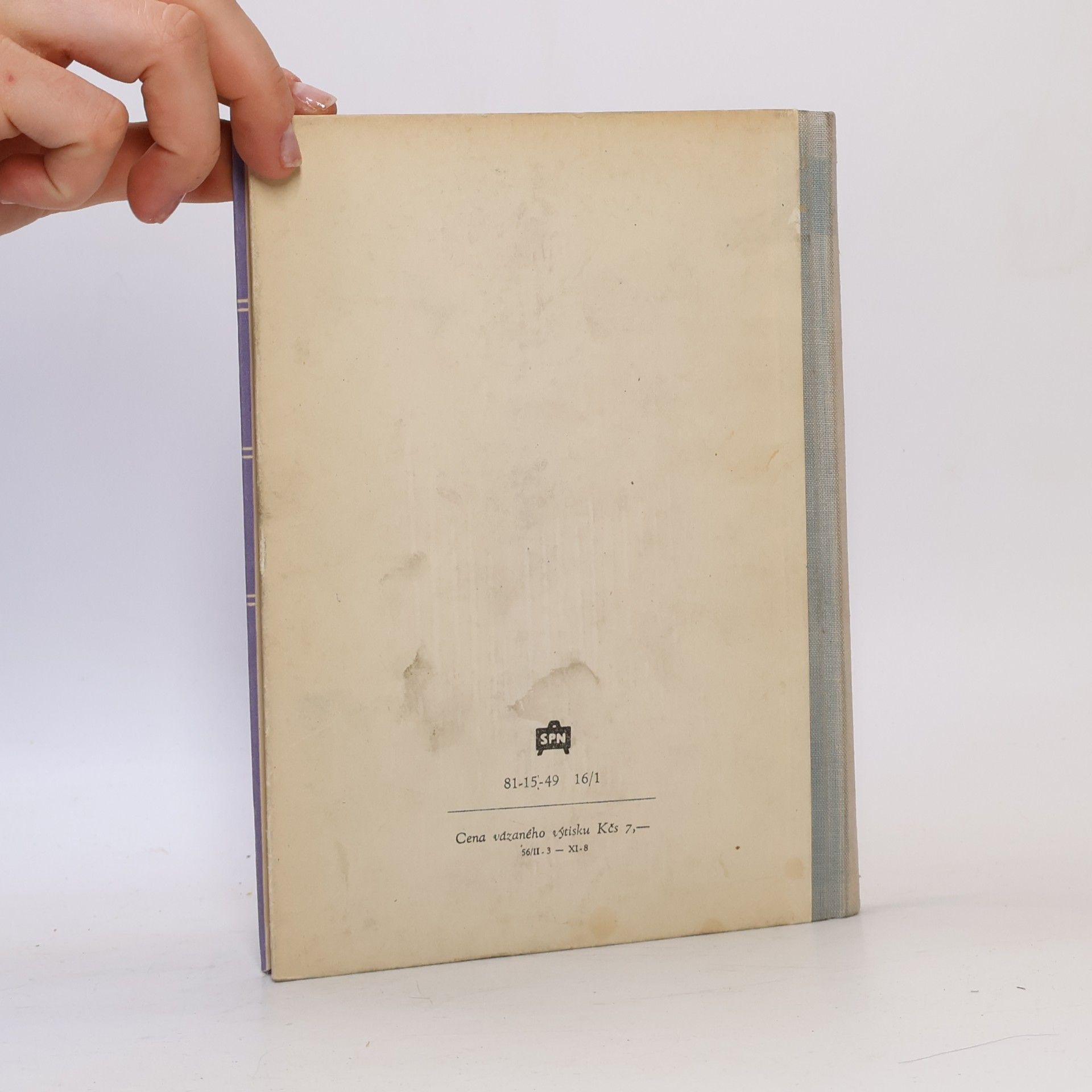Svatopluk Cenek Teorie literatury