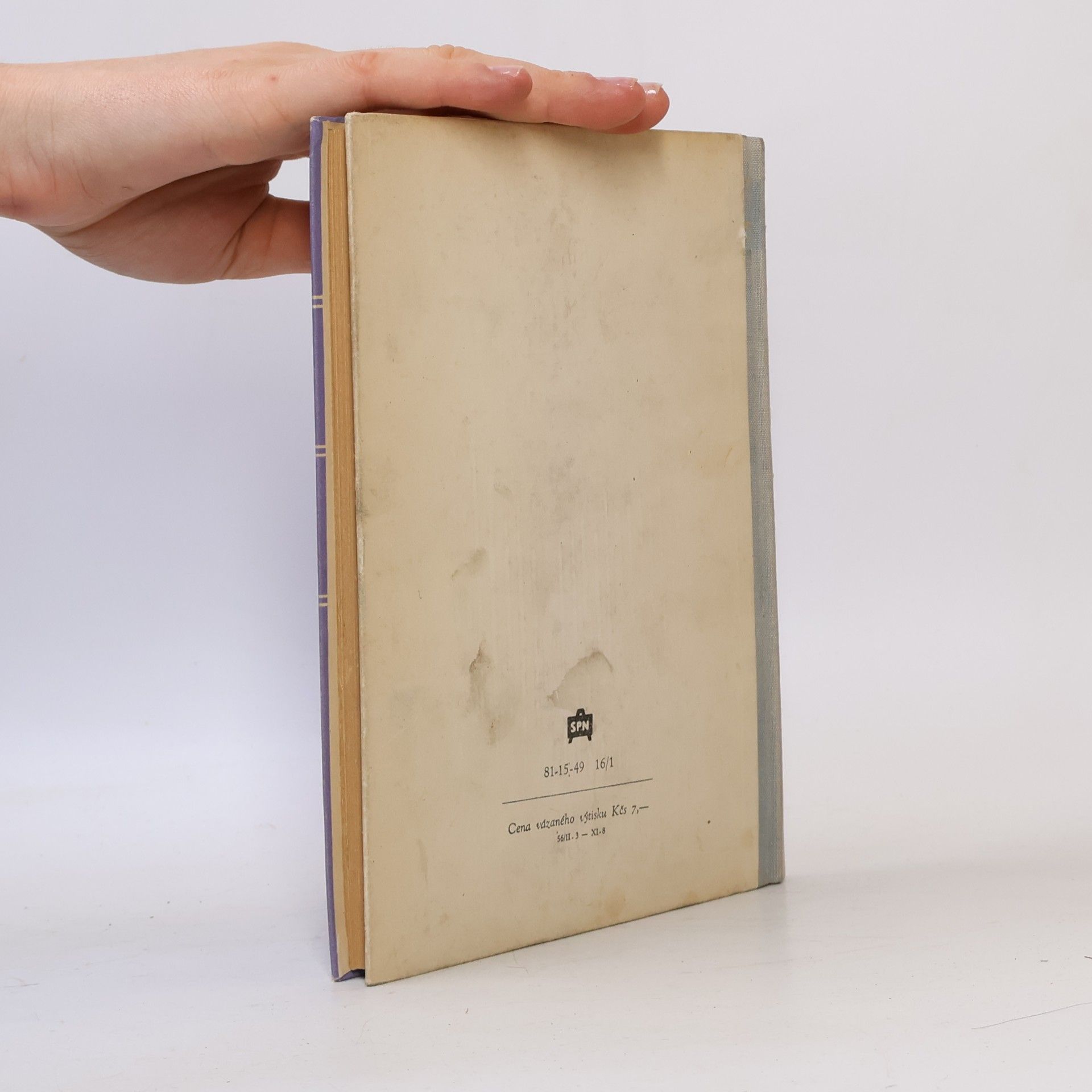 Svatopluk Cenek Teorie literatury