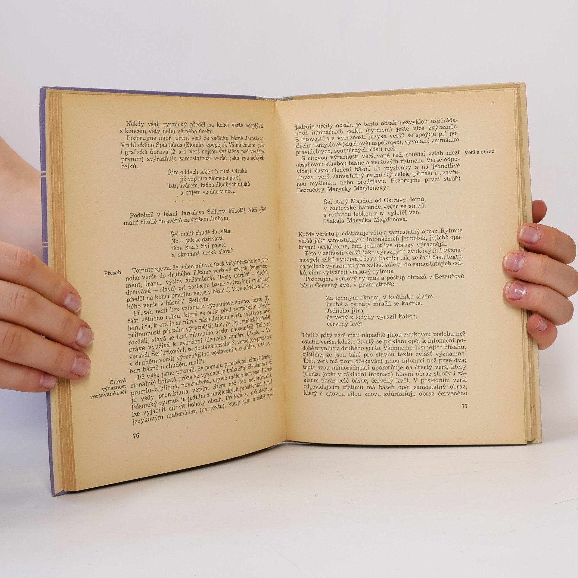 Svatopluk Cenek Teorie literatury