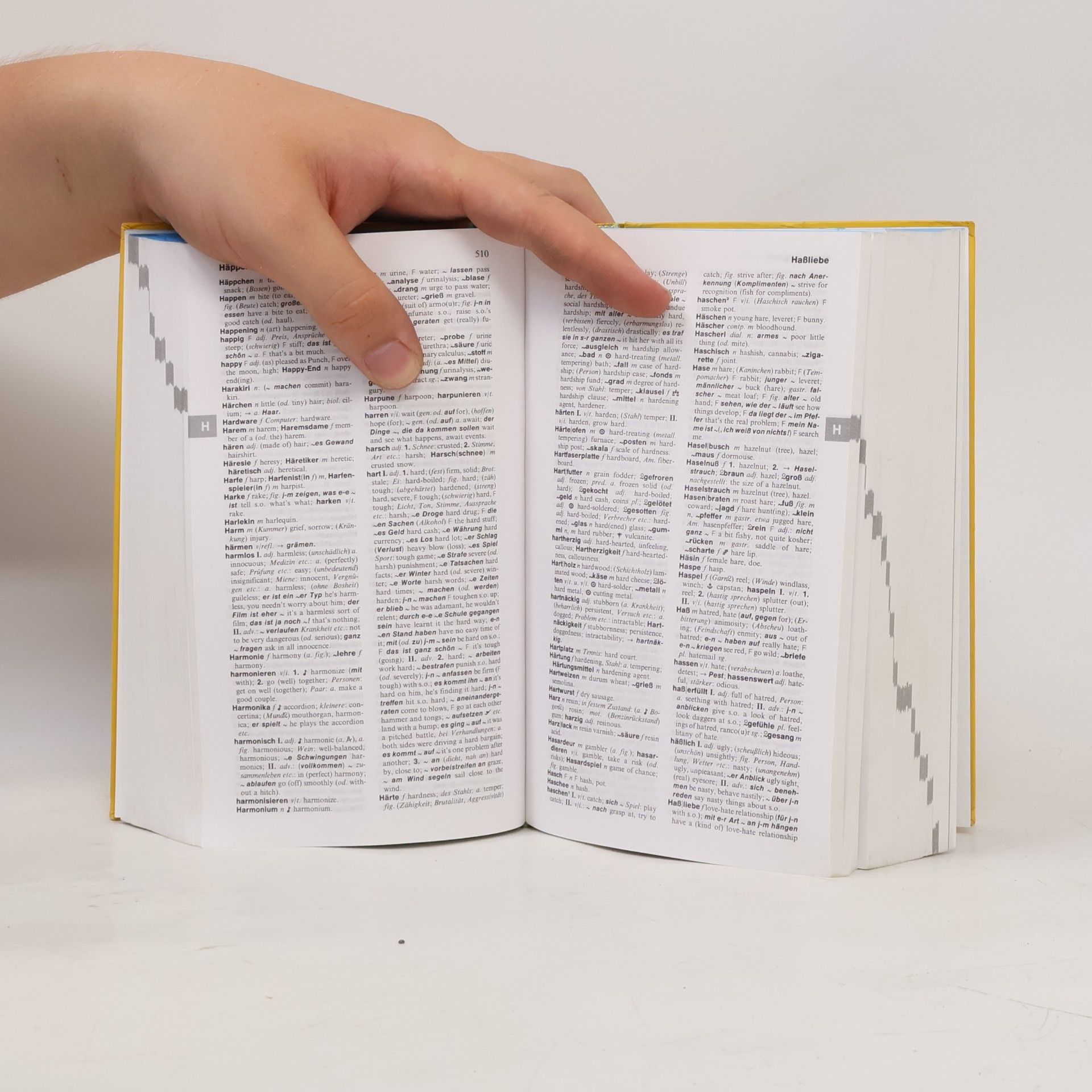 Kolektiv autorů Langenscheidts Grosses Schulwörterbuch Deutsch-English II