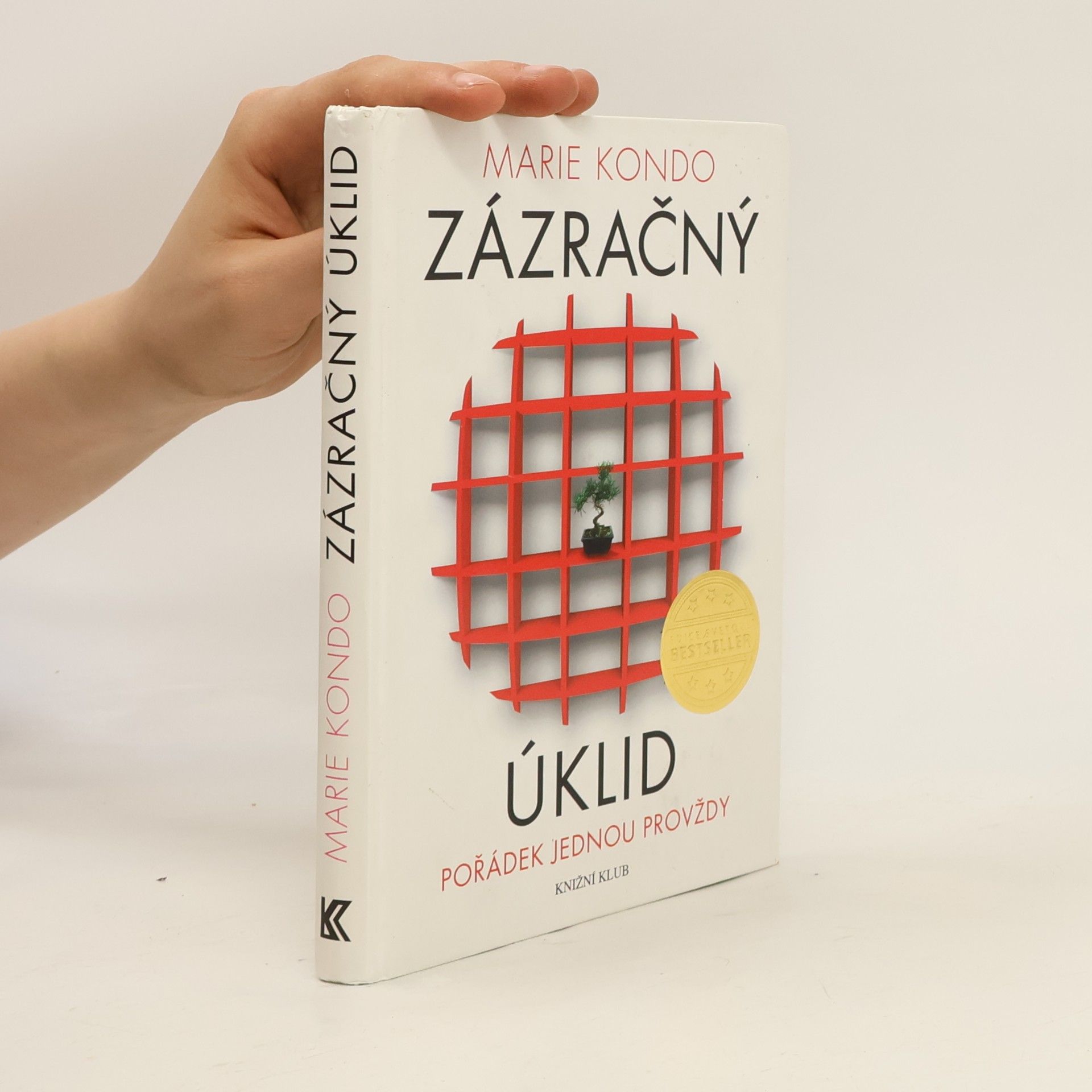 Zázračný úklid