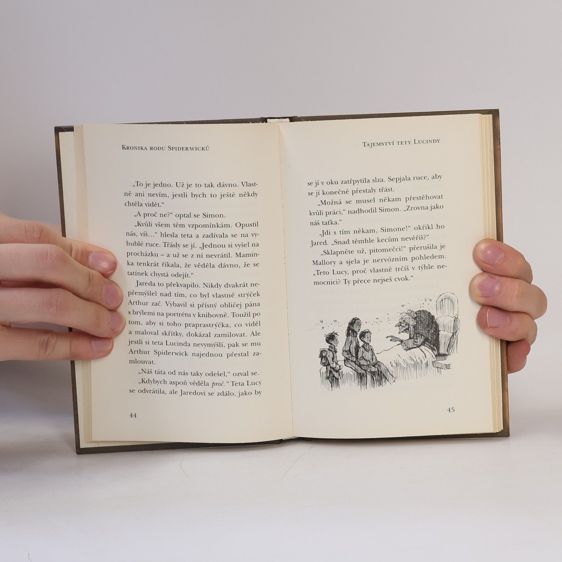 Tony DiTerlizzi Kronika rodu Spiderwicků. Kniha 3, Tajemství tety Lucindy
