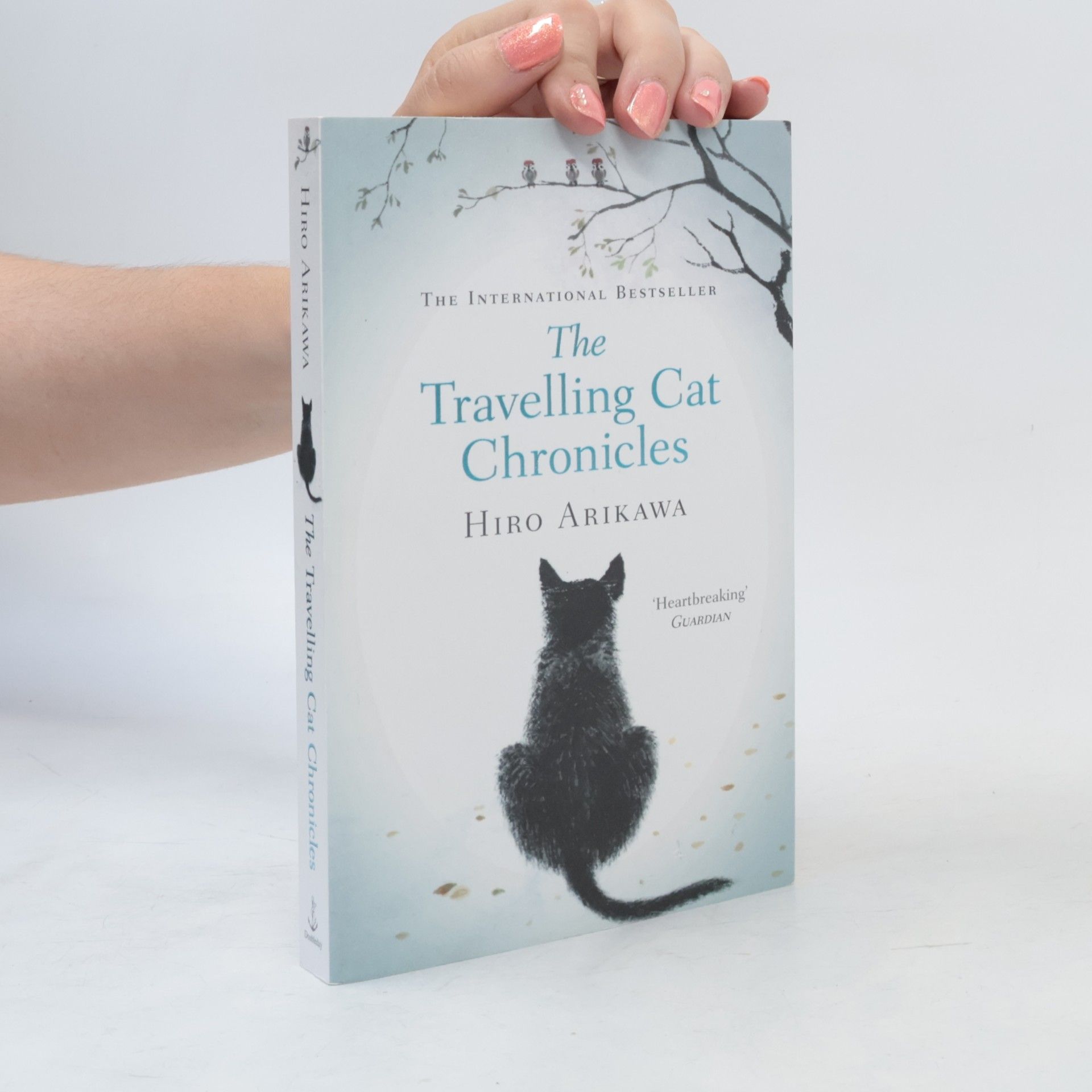 The travelling cat chronicles