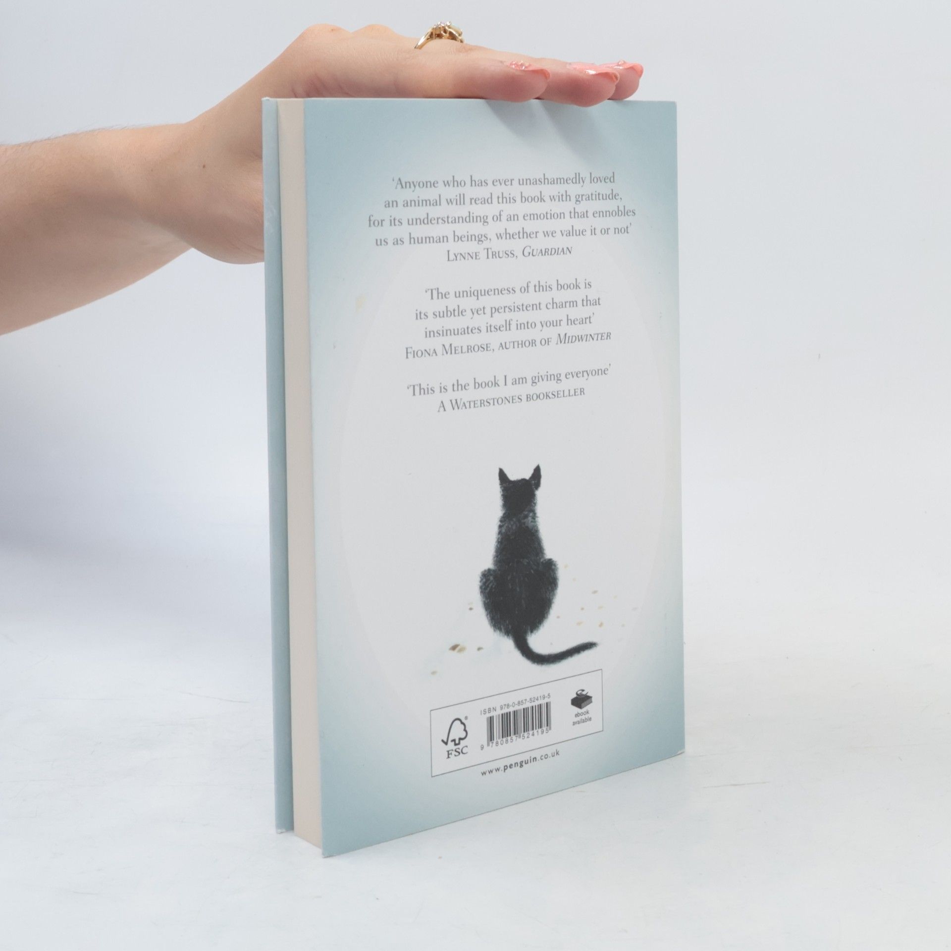 Hiro Arikawa The travelling cat chronicles
