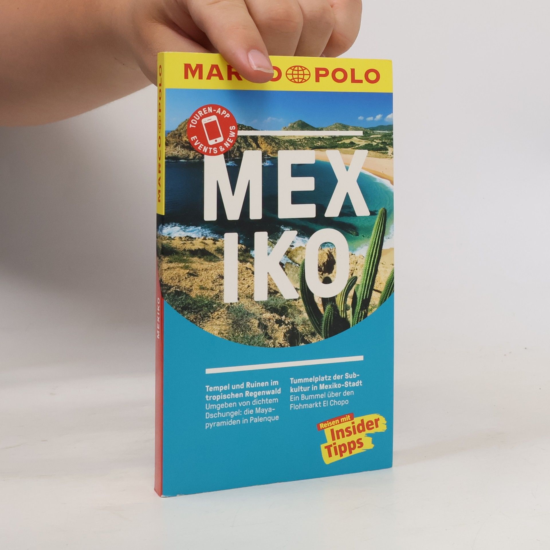 Manfred Wöbcke Mexiko