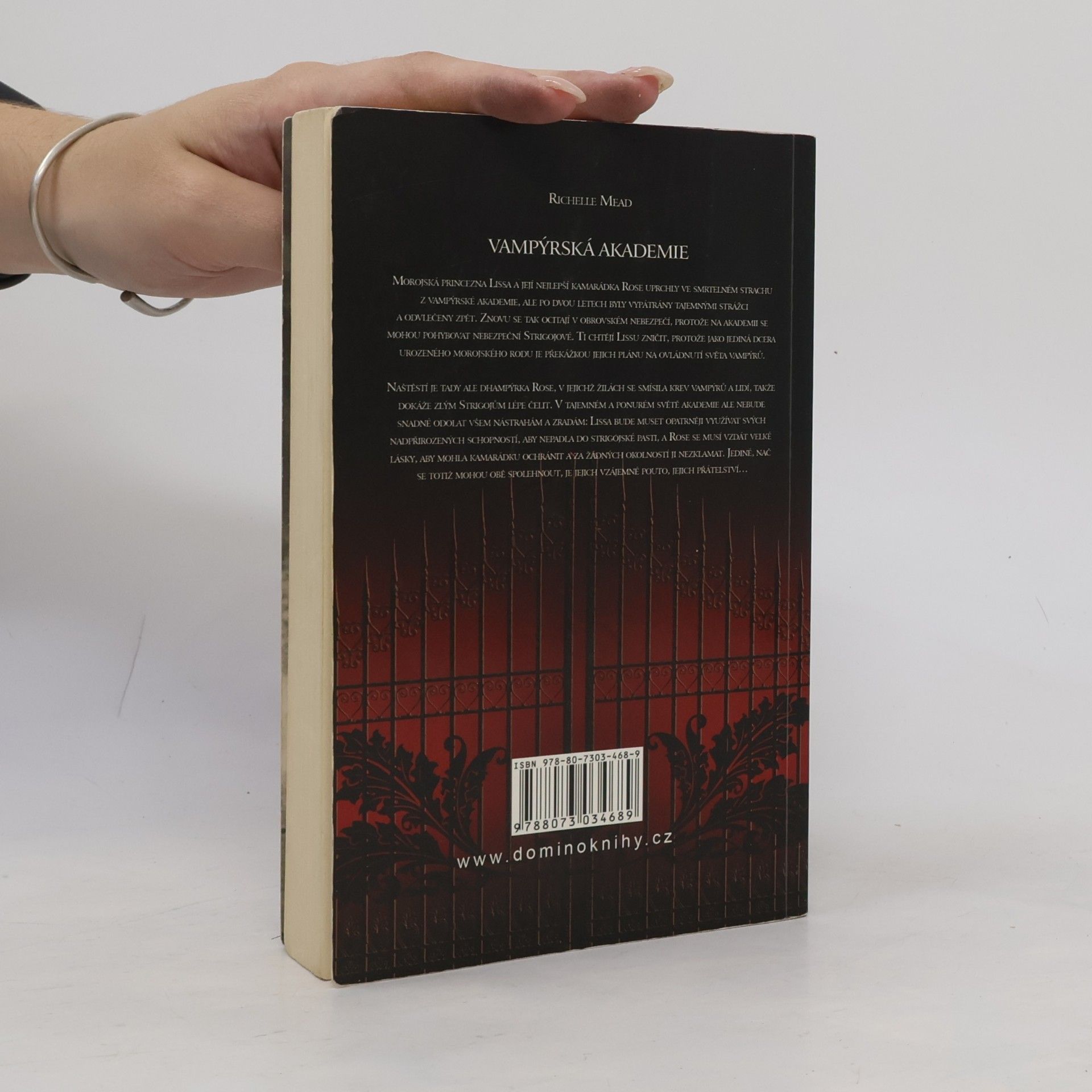 Richelle Mead Vampýrská akademie