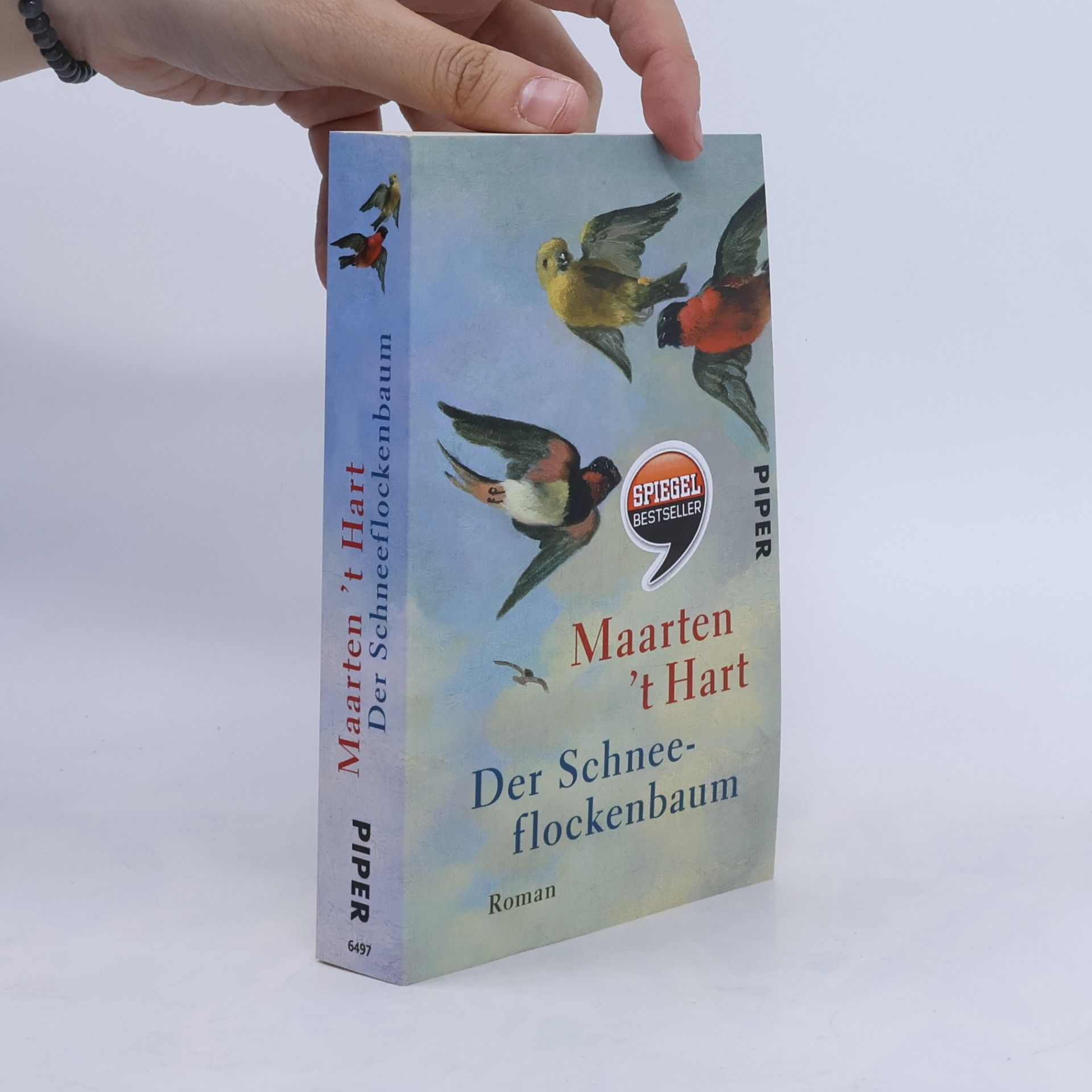 Maarten 't Hart Der Schneeflockenbaum