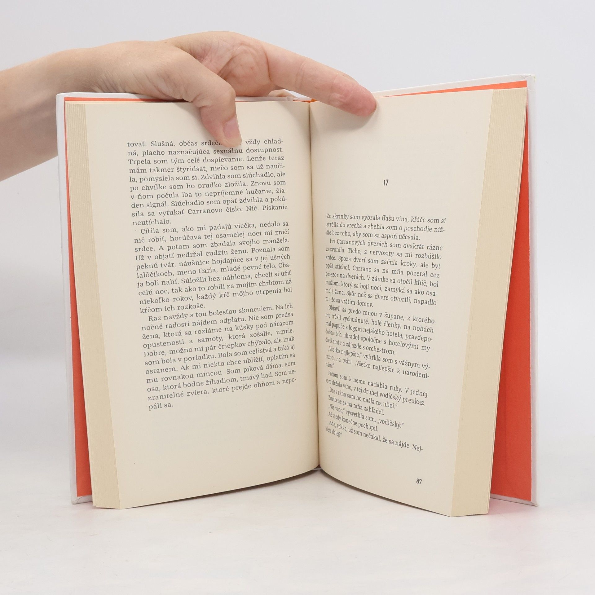 Elena Ferrante Dni opustenia
