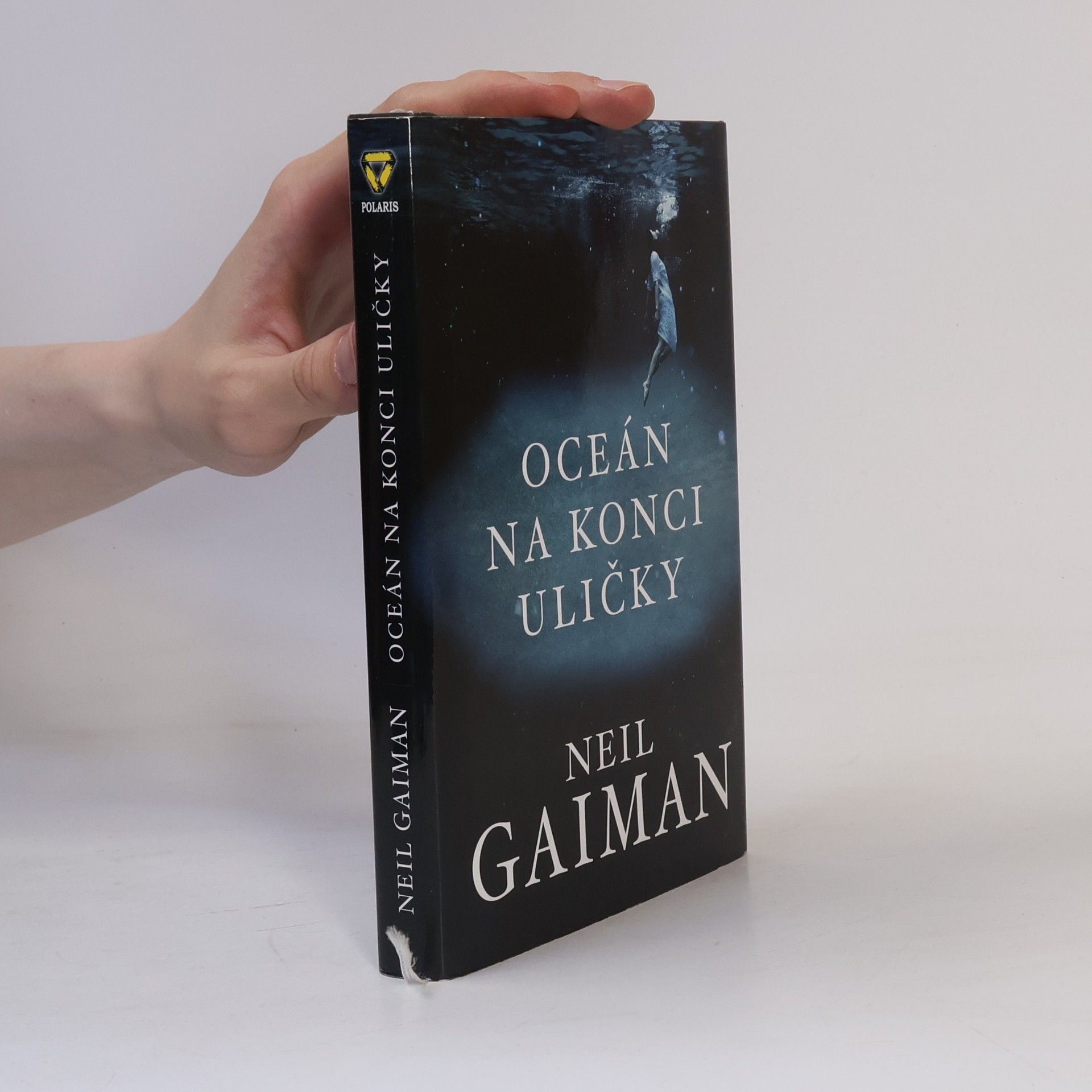 Neil Gaiman Oceán na konci uličky