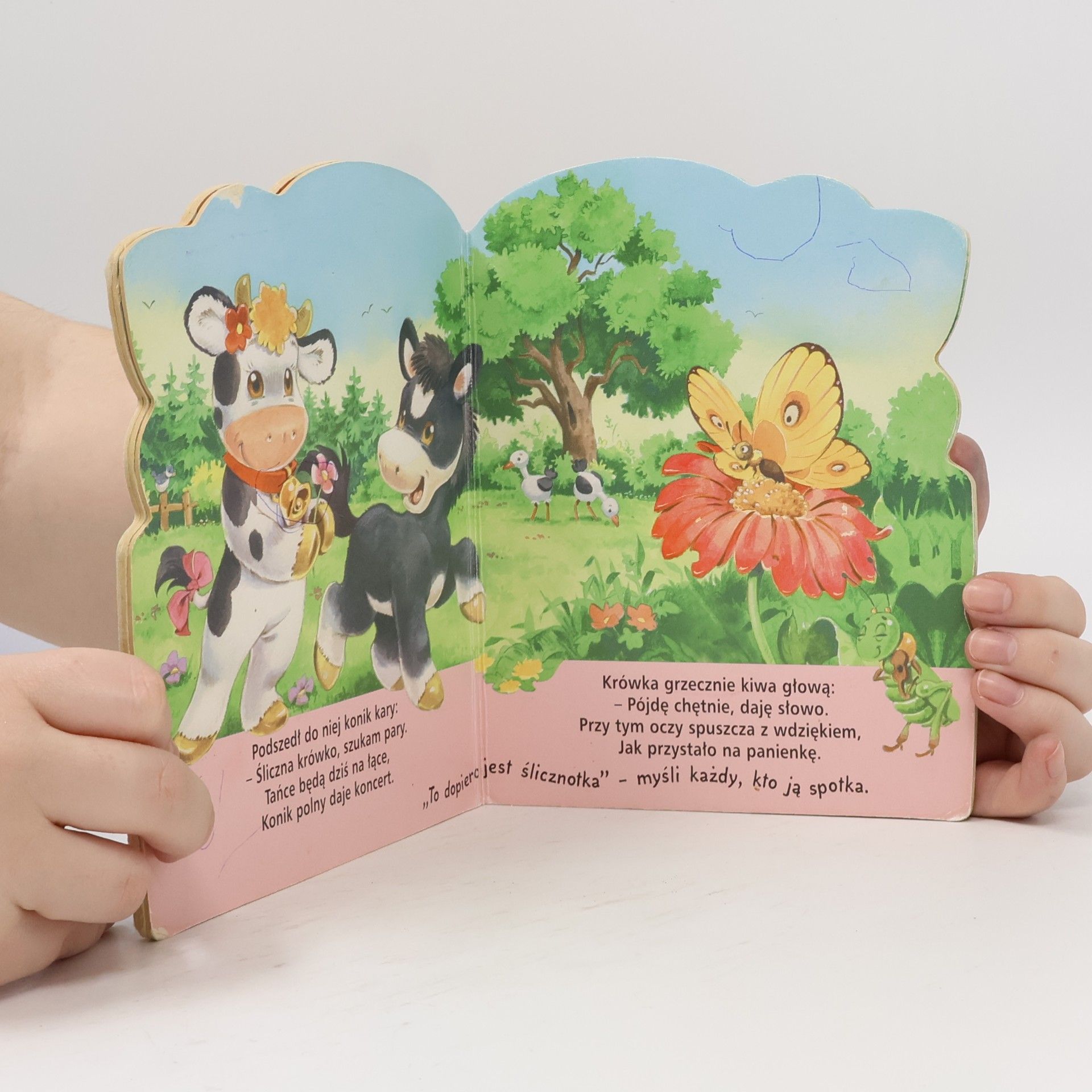 Autores varios Krówka ślicznotka
