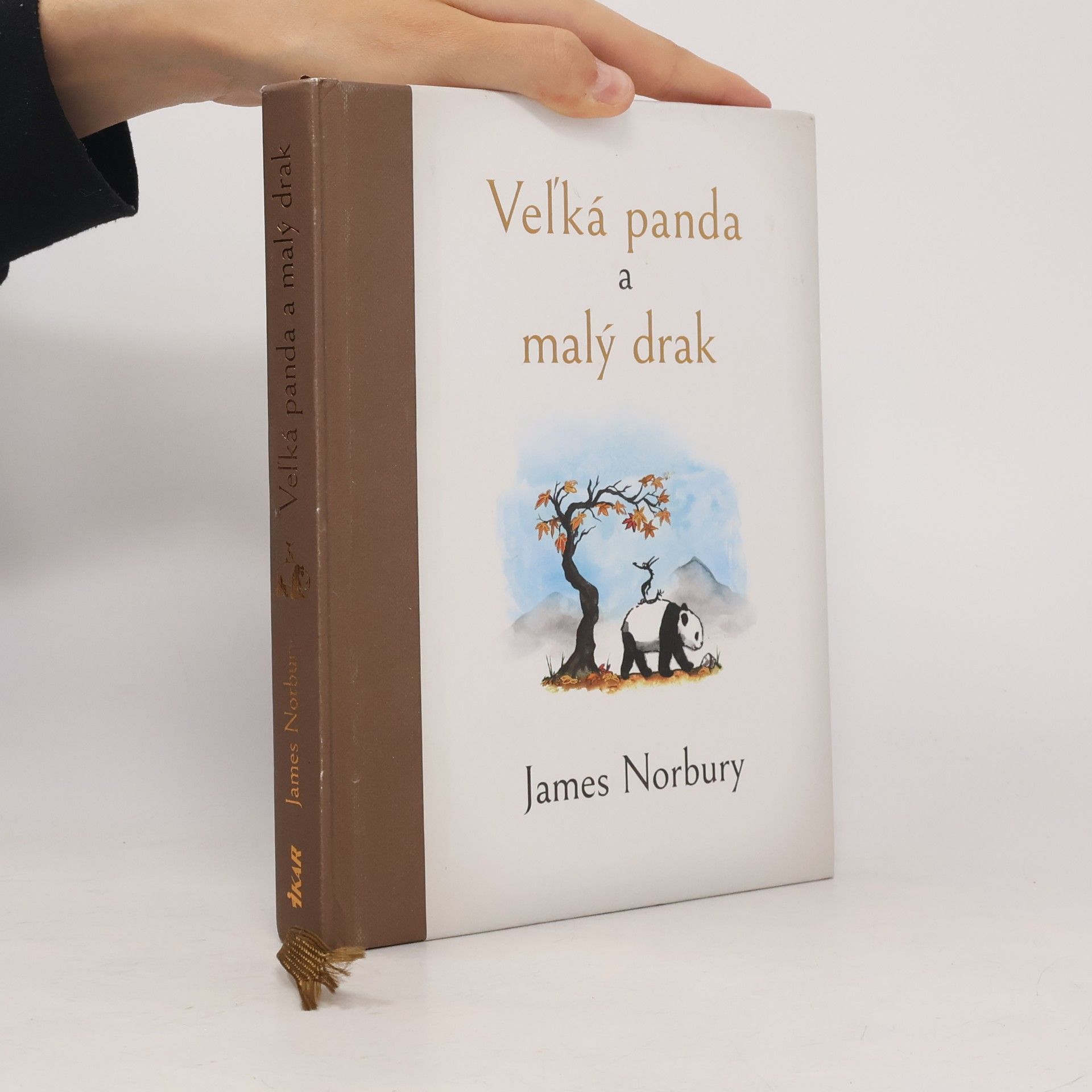 James Norbury Veľká panda a malý drak