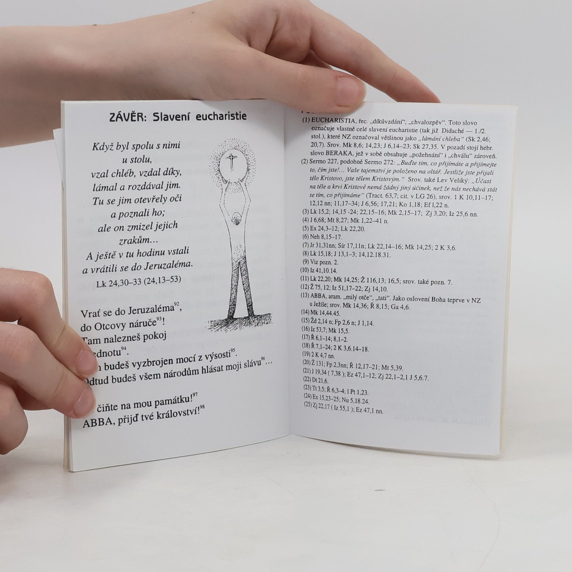 Autores varios Eucharistická křížová cesta
