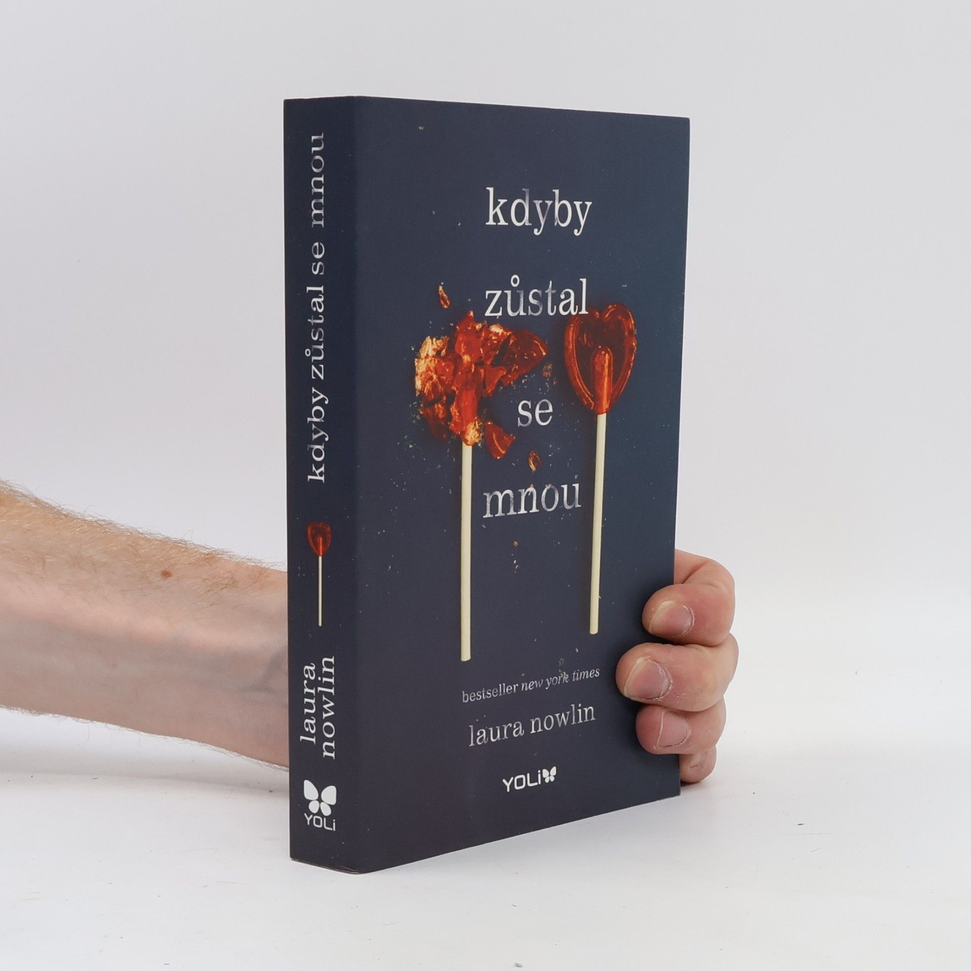 Laura Nowlin Kdyby zůstal se mnou
