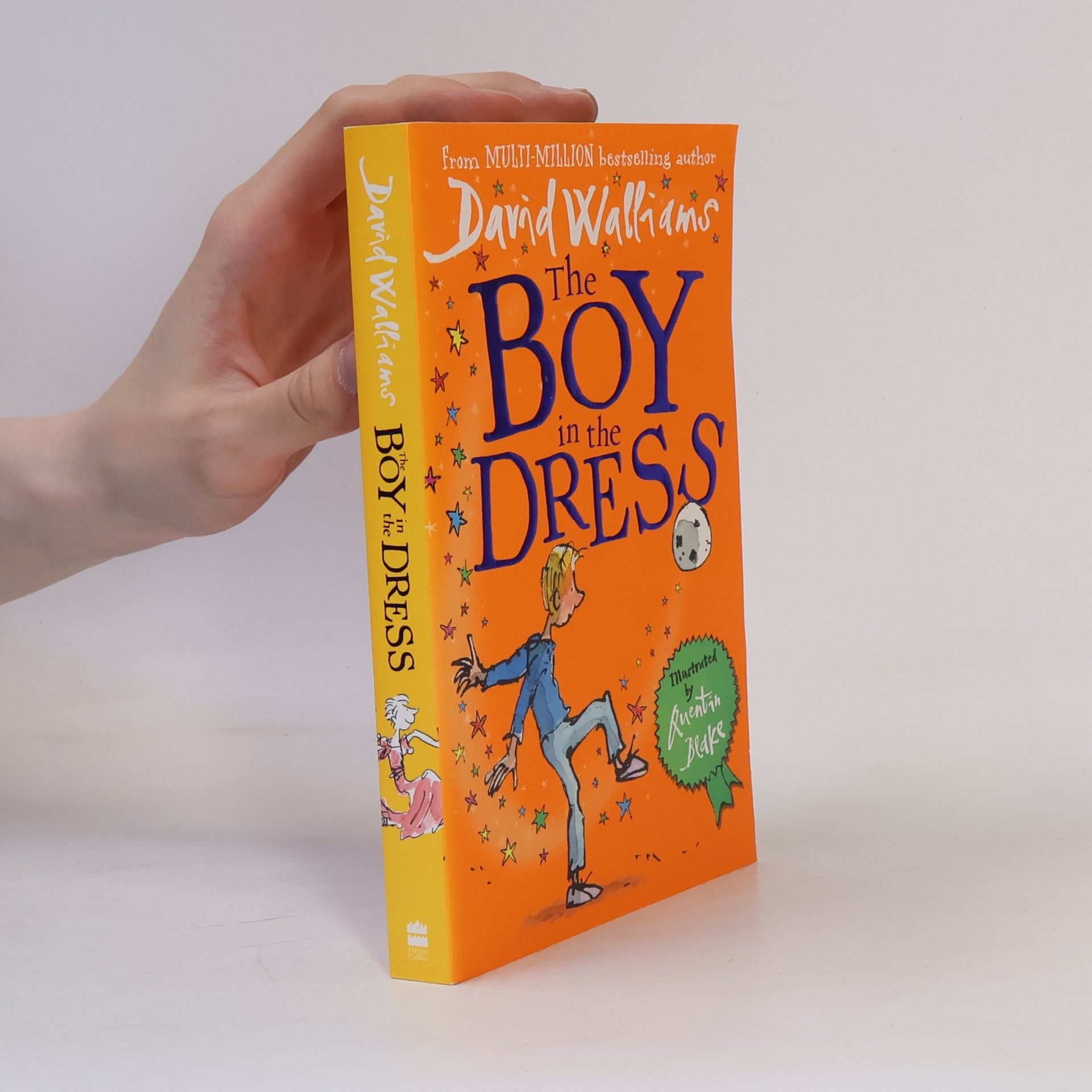 The Boy In The Dress