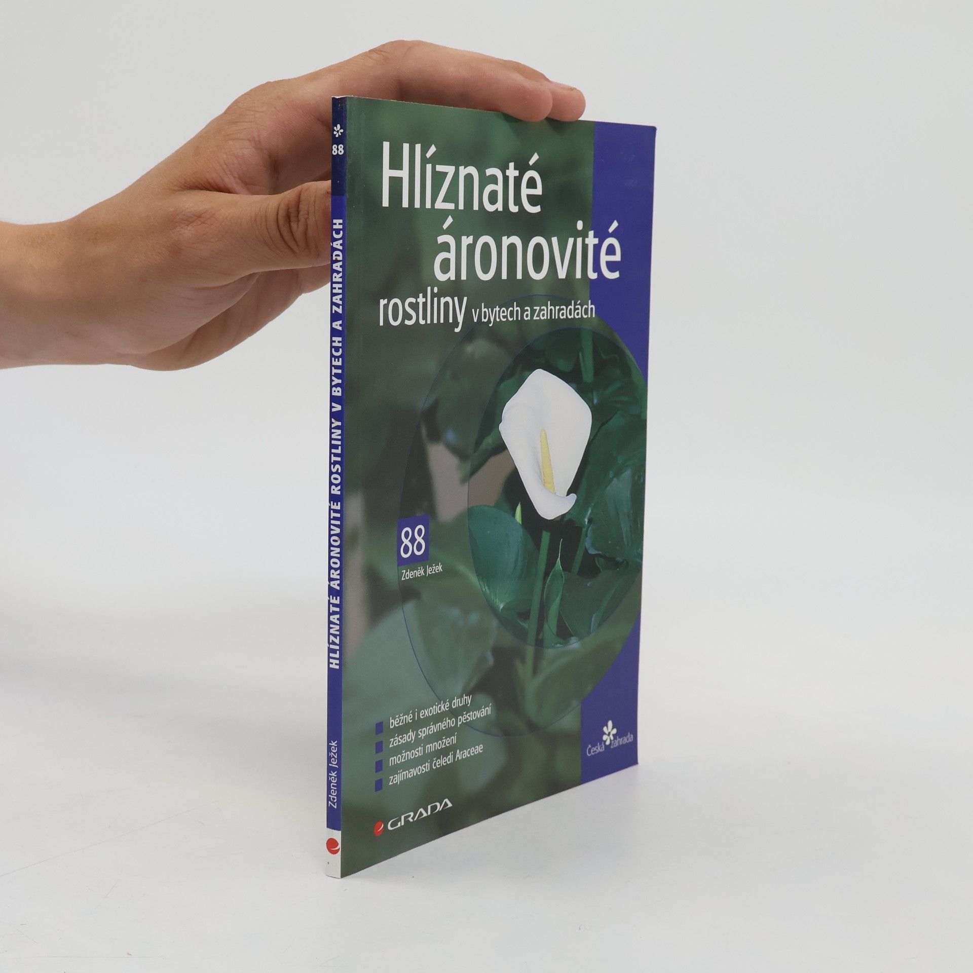Hlíznaté áronovité rostliny v bytech a zahradách
