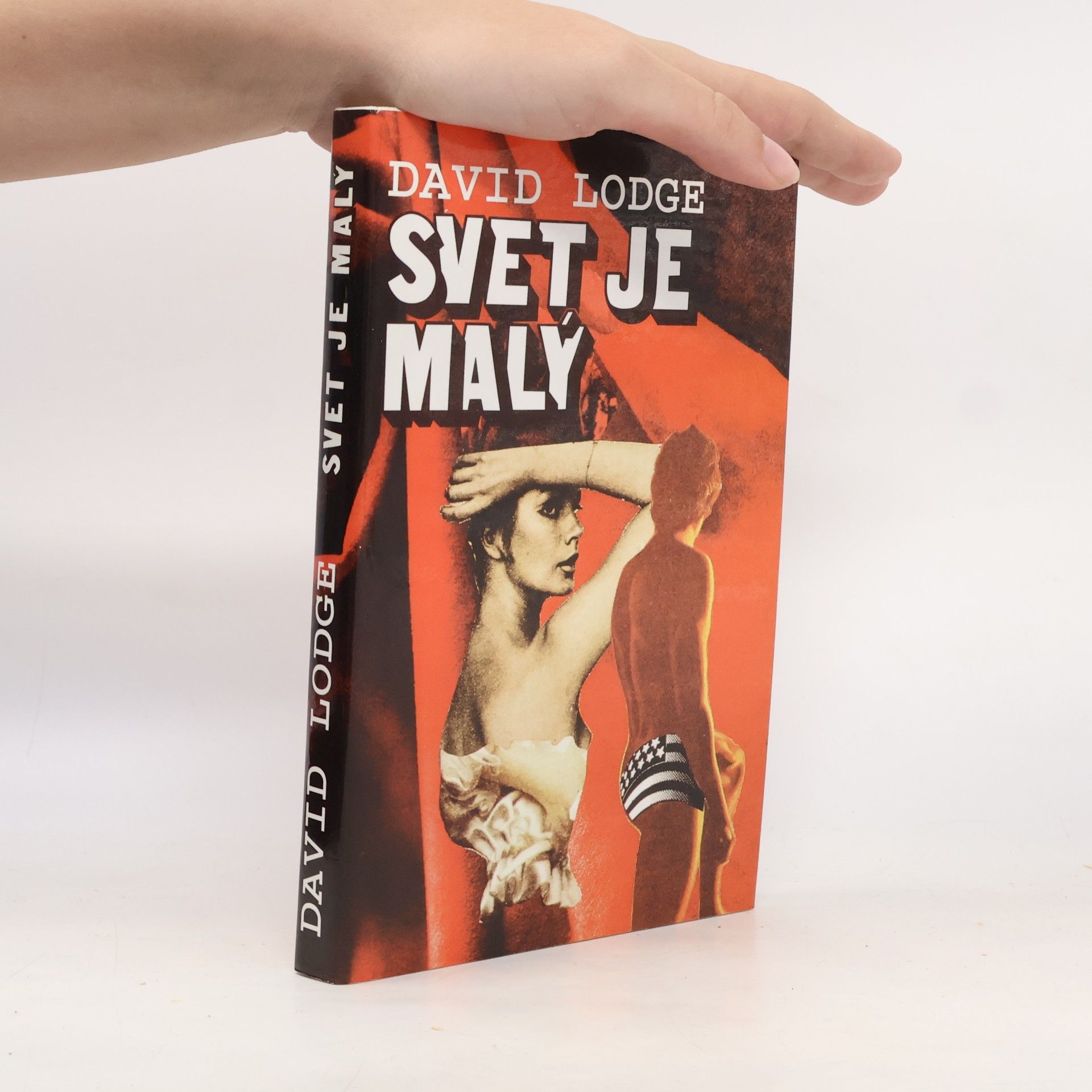 David Lodge Svet je malý