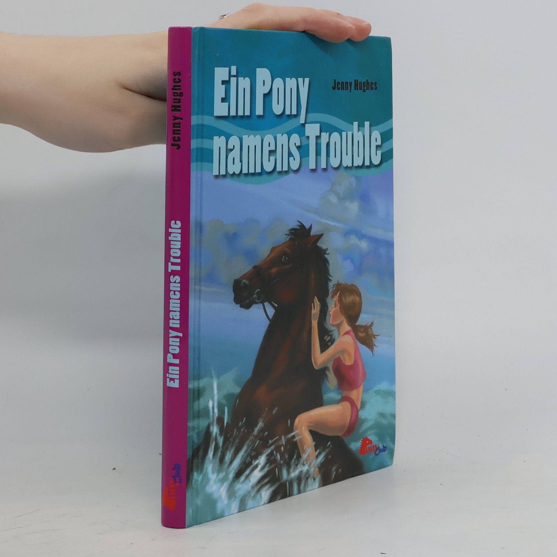 Jenny Hughes Ein Pony namens Trouble