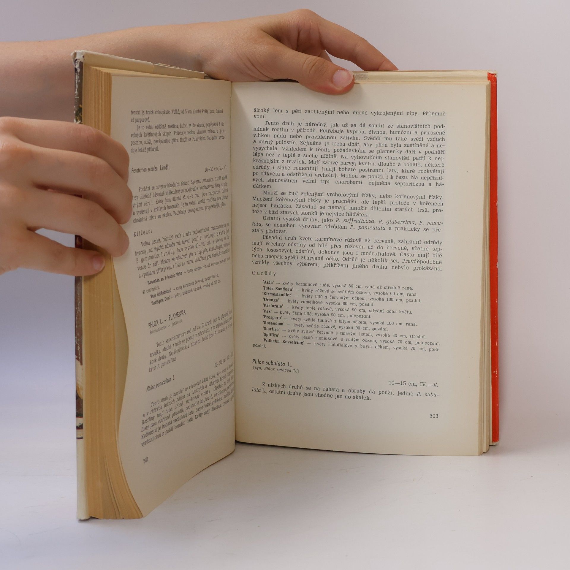 Various authors Trvalky v zahradě