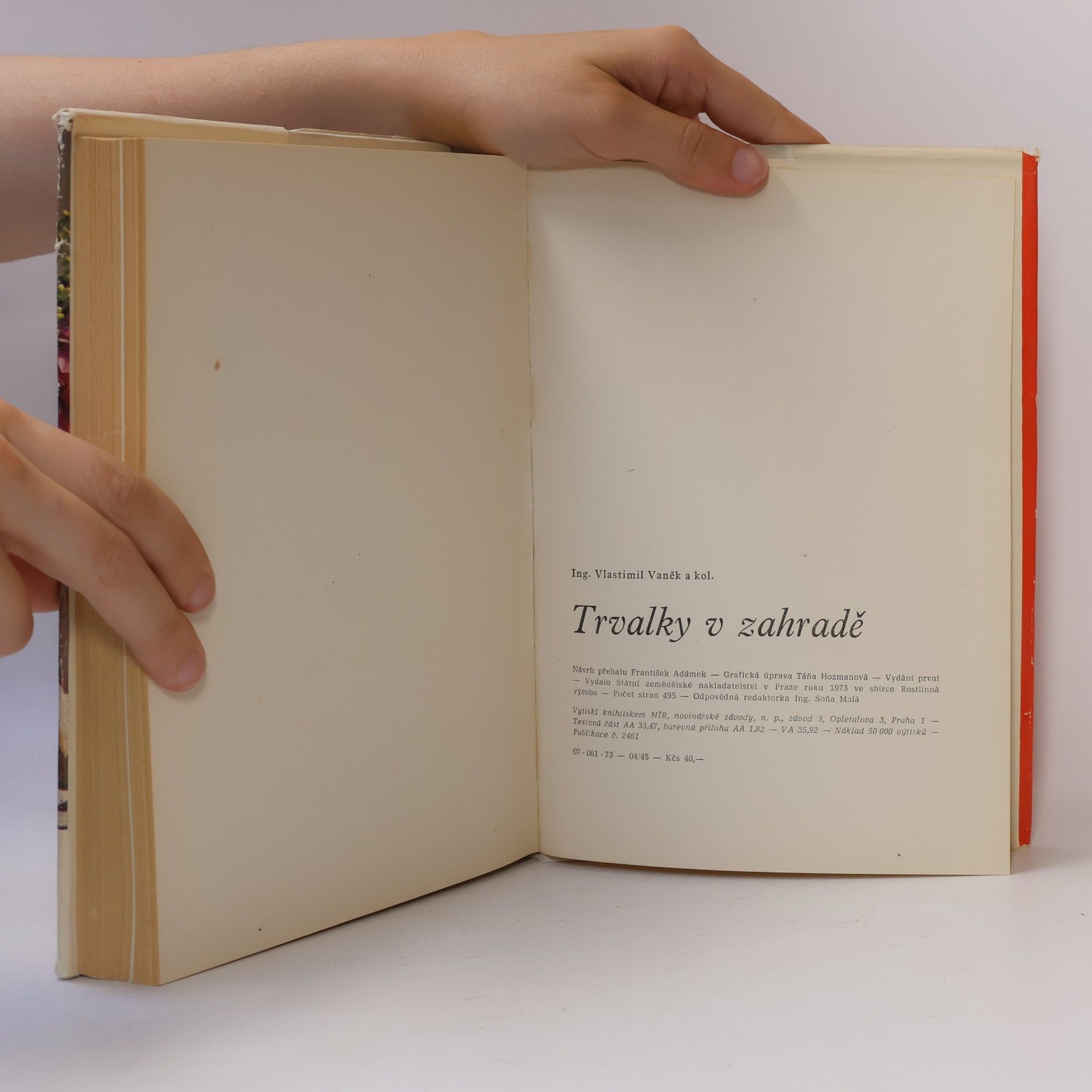 Various authors Trvalky v zahradě