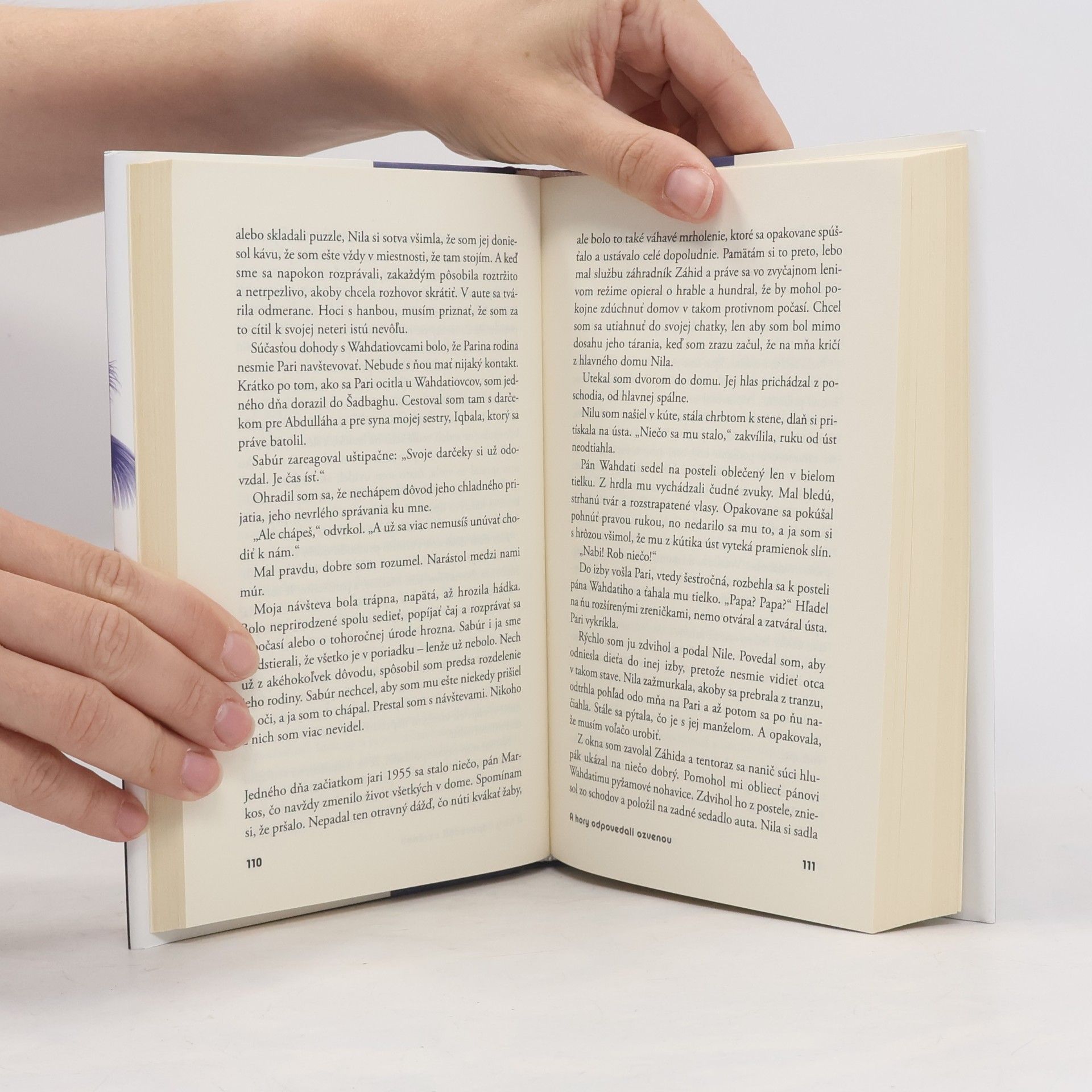Khaled Hosseini A hory odpovedali ozvenou