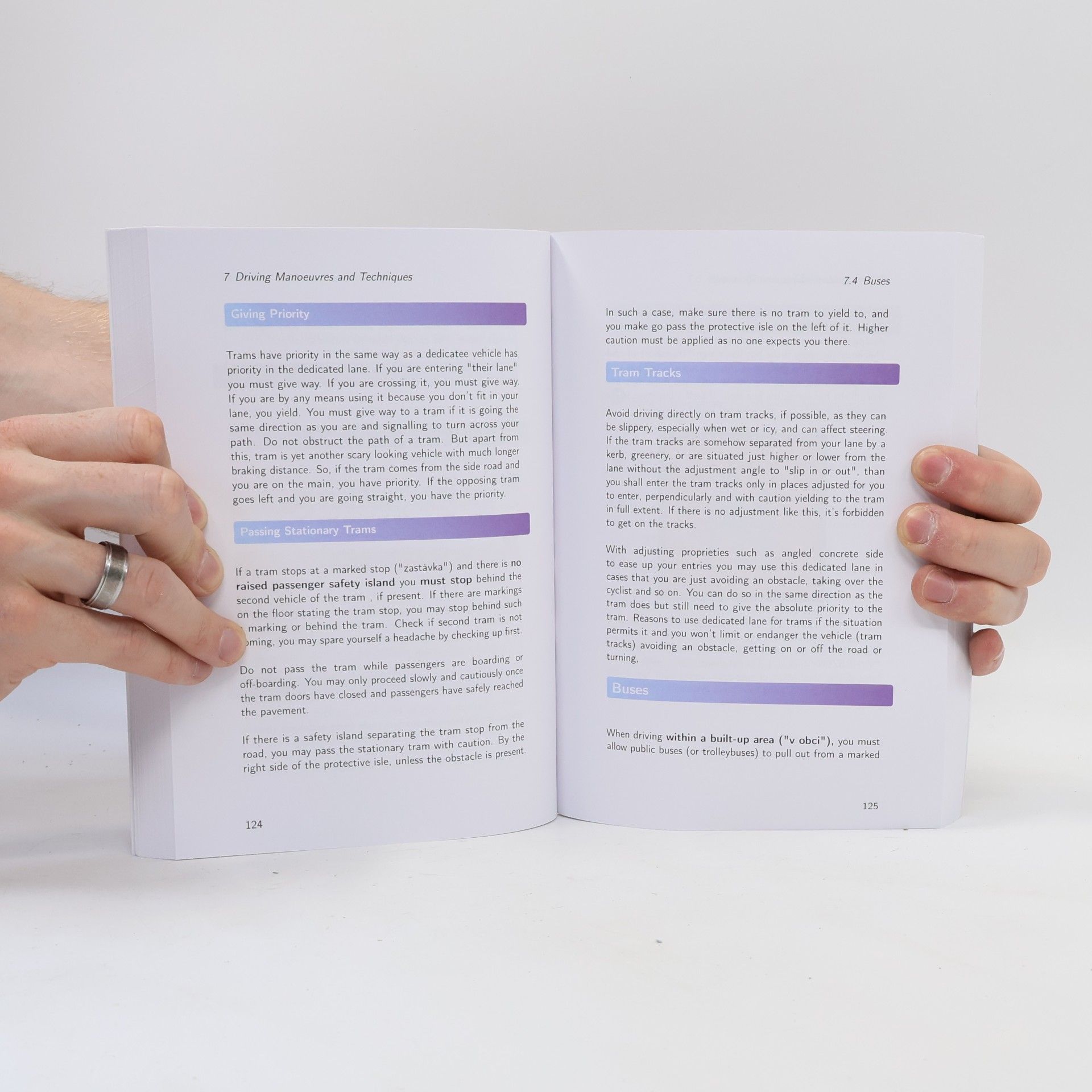 Autorenkollektiv Playbook Not Only for Newbies Behind the Steering Wheel