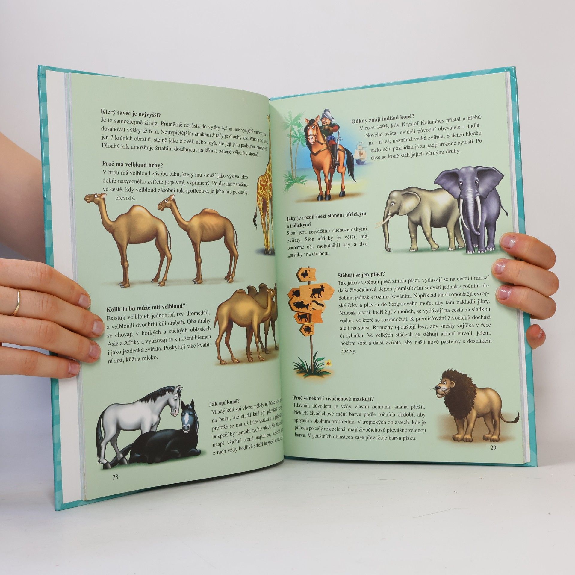 Autorenkollektiv Velká kniha malého školáka : vše, co děti chtějí vědět