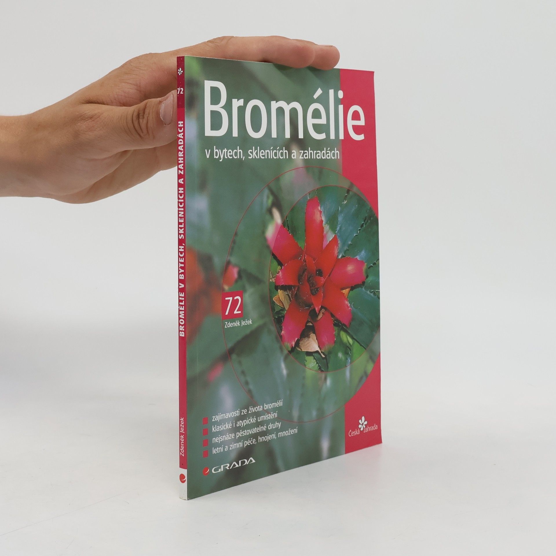 Bromélie v bytech, sklenících a zahradách