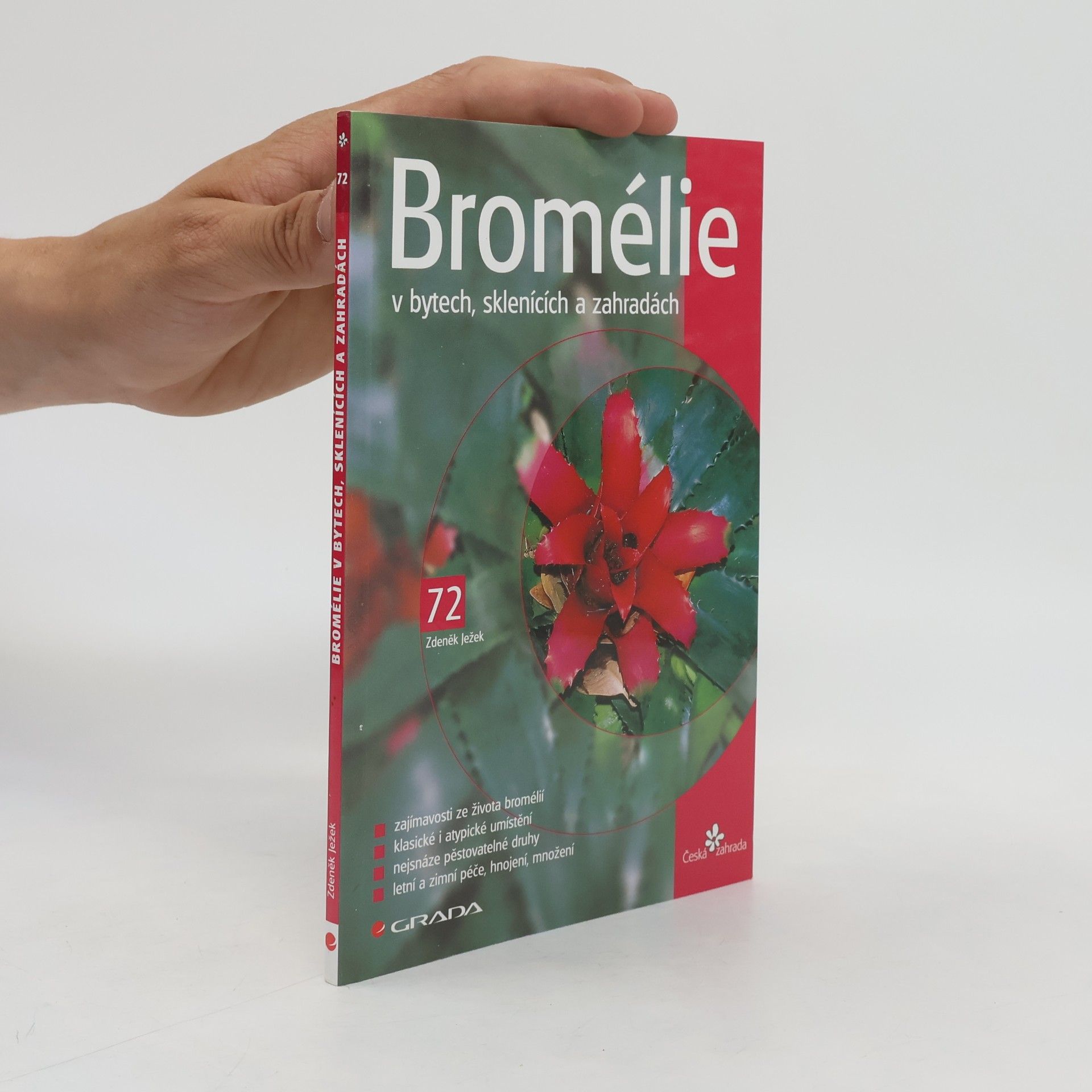 Zdeněk Ježek Bromélie v bytech, sklenících a zahradách