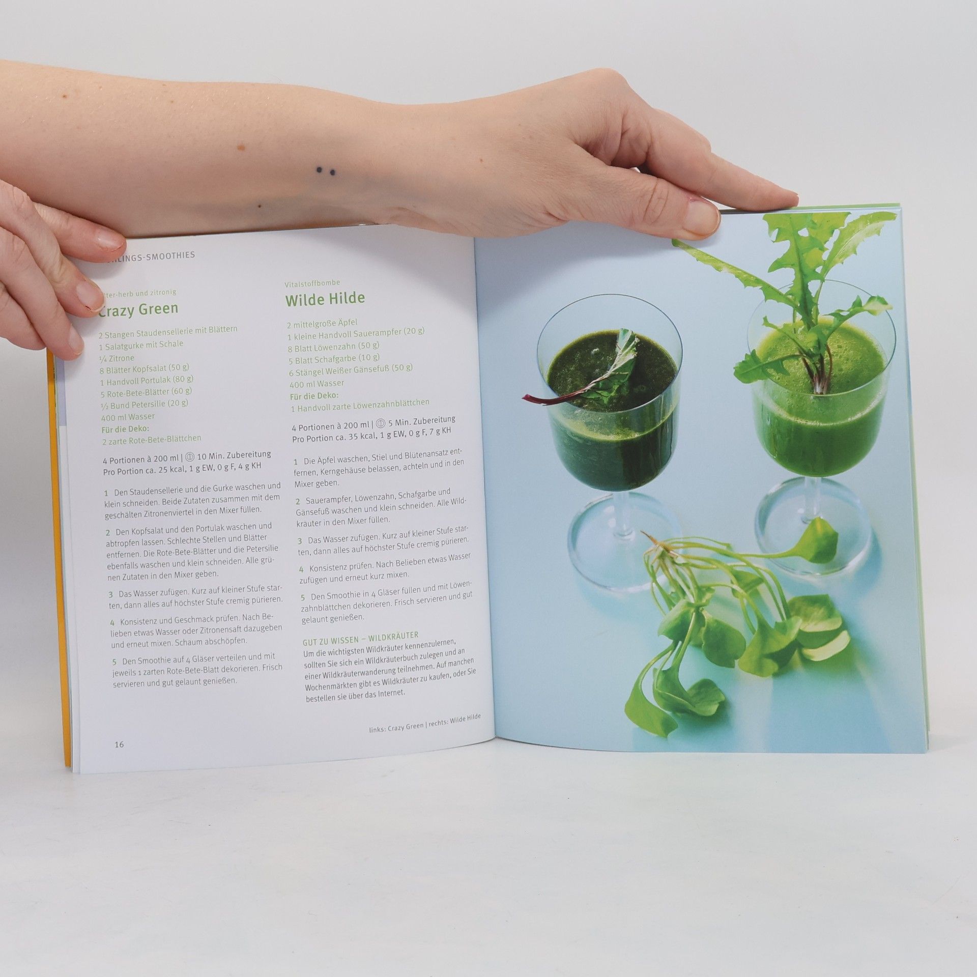 Christian Guth Grüne Smoothies