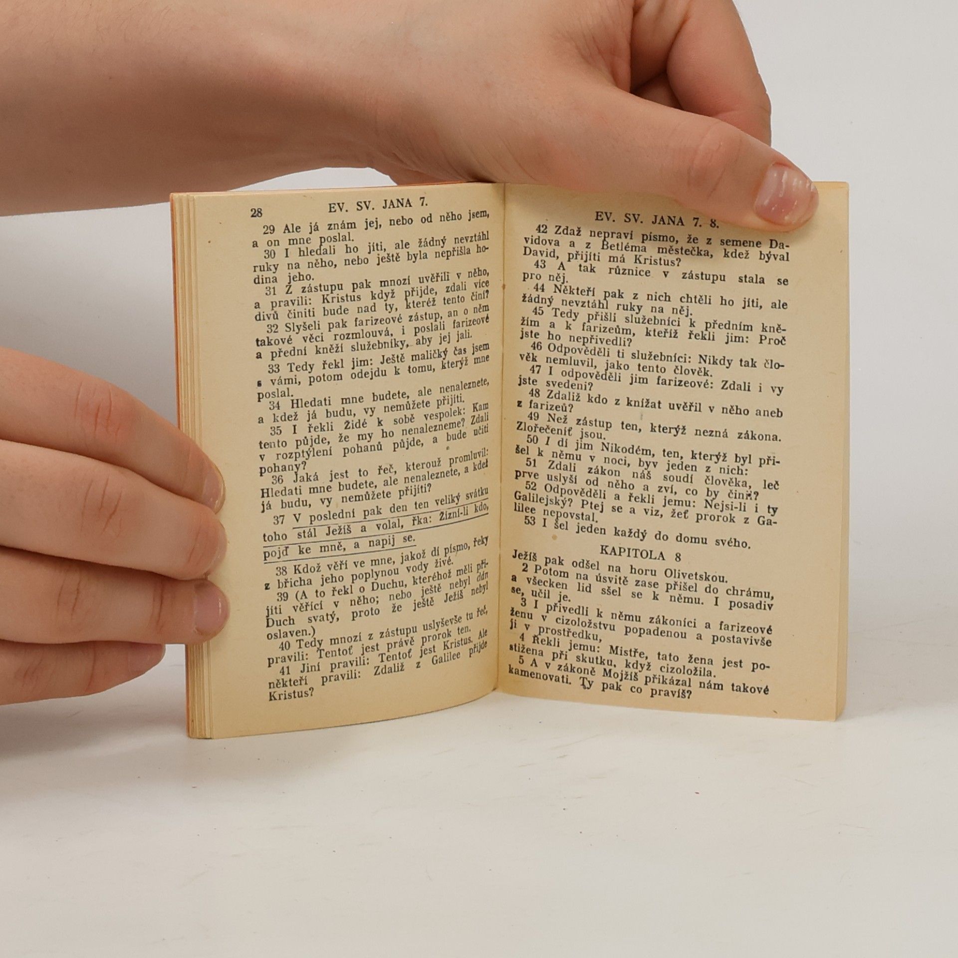 Autores varios Evangelium podle sepsání sv. Jana