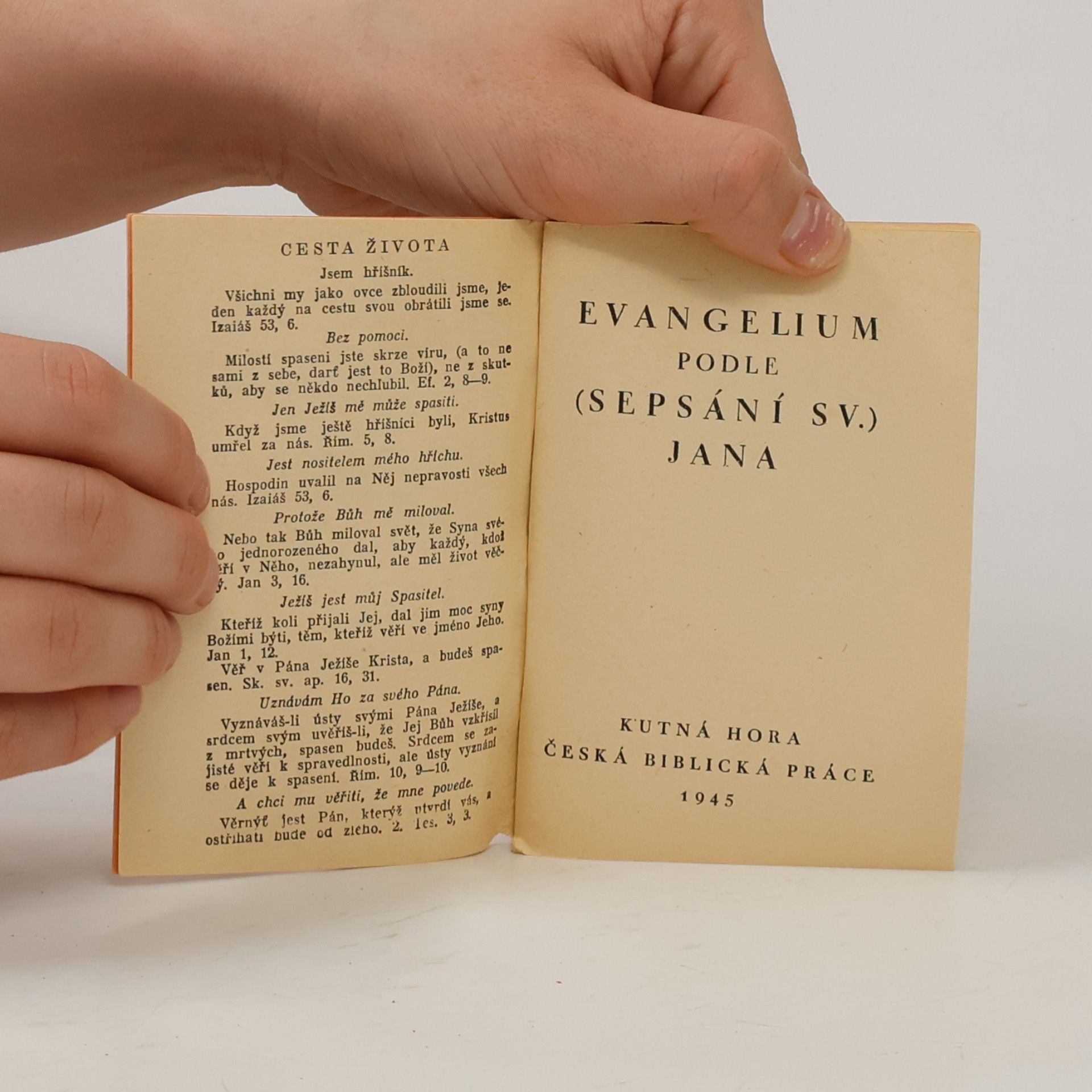 Autores varios Evangelium podle sepsání sv. Jana