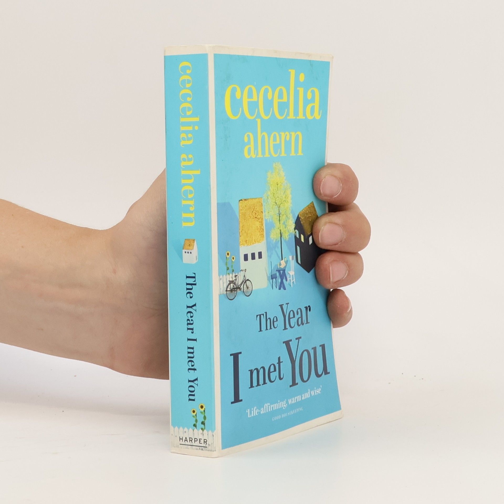 Cecelia Ahern The year I met you